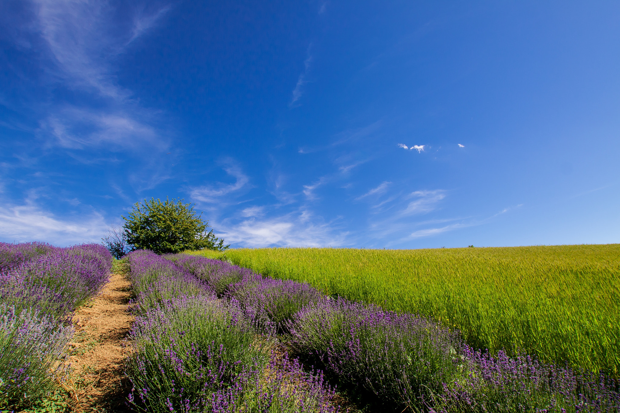 Sigma 10-20mm F3.5 EX DC HSM sample photo. Sezioni e colori photography