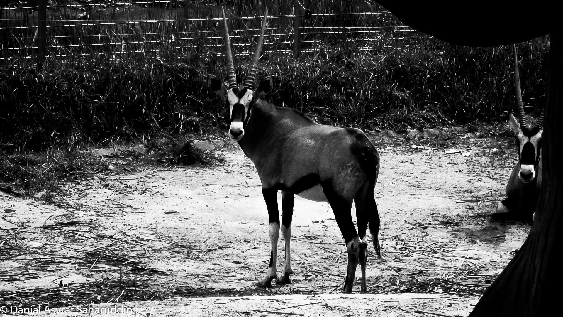 Sony Cyber-shot DSC-W150 sample photo. Gambang resort, malaysia photography