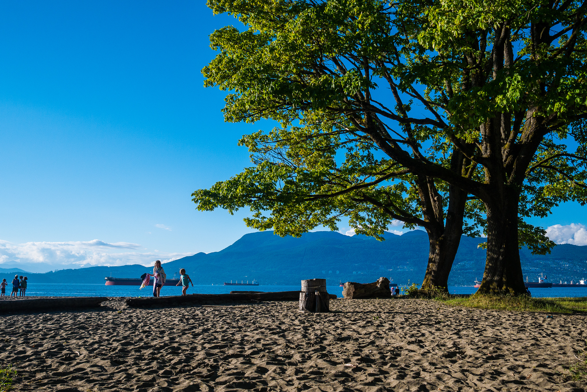 Panasonic Lumix DMC-GX7 + Olympus M.Zuiko Digital 17mm F1.8 sample photo. Jericho beach photography
