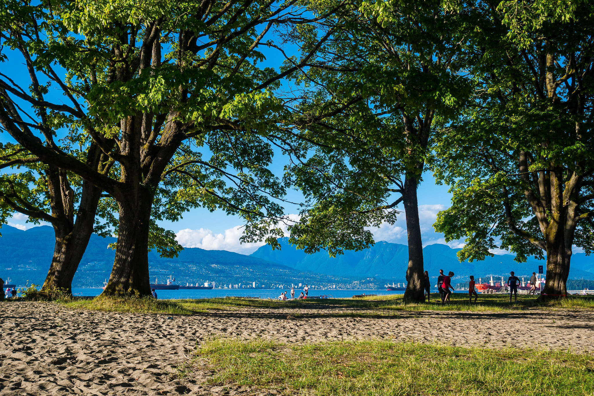Panasonic Lumix DMC-GX7 + Olympus M.Zuiko Digital 17mm F1.8 sample photo. Jericho beach photography