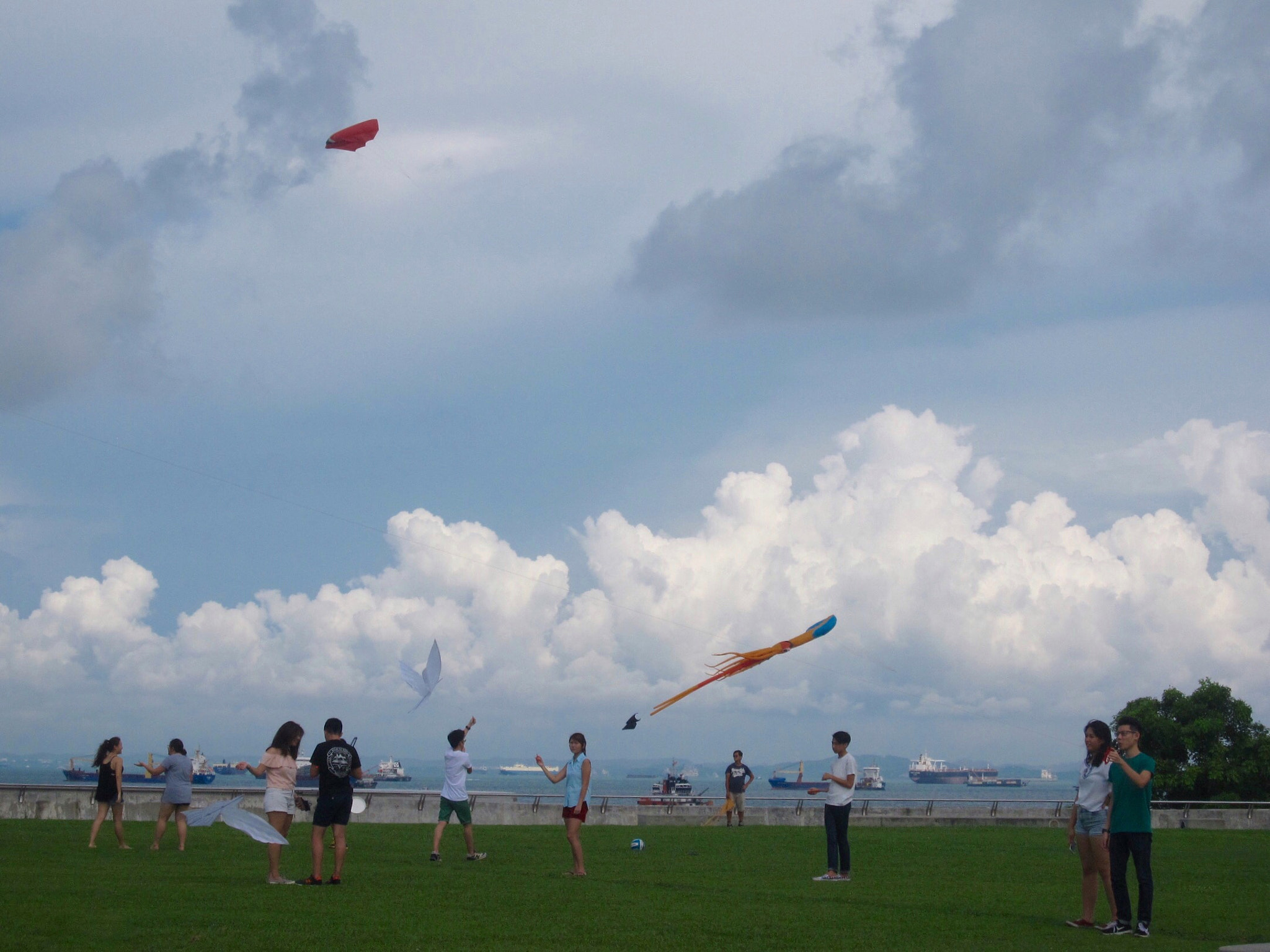 Canon PowerShot SD880 IS (Digital IXUS 870 IS / IXY Digital 920 IS) sample photo. Kite-flying by sea 海边放风筝 photography