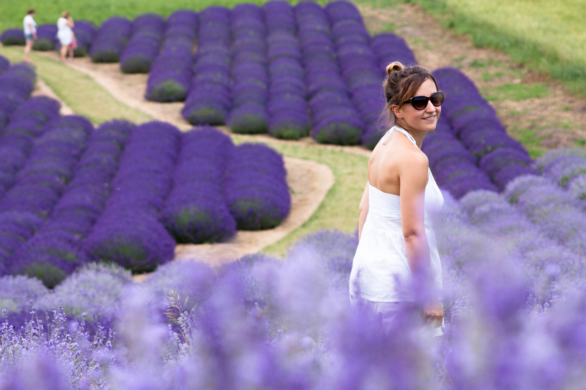 Sigma 70-300mm F4-5.6 APO DG Macro sample photo. Lavender fields photography