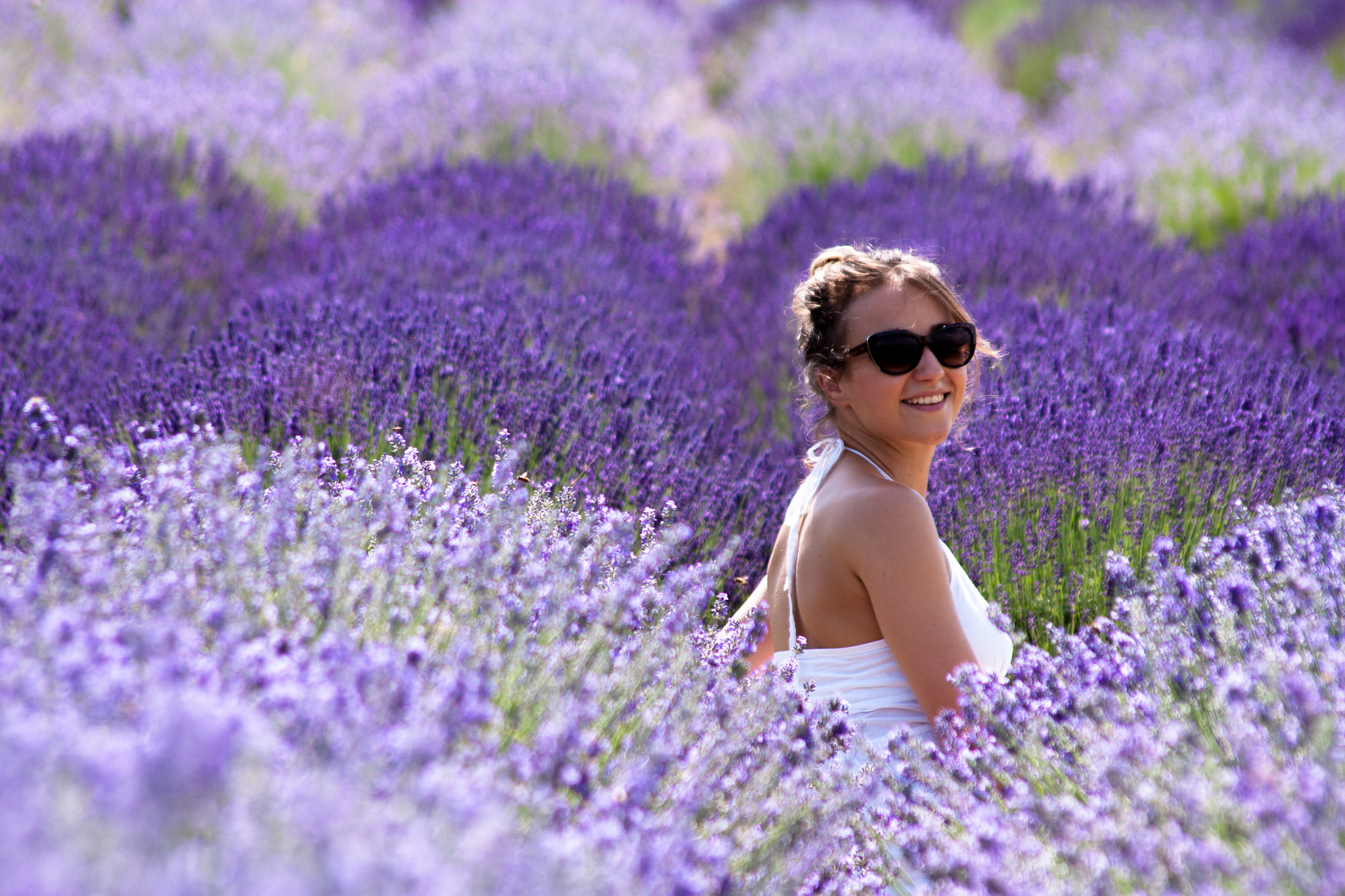 Sigma 70-300mm F4-5.6 APO DG Macro sample photo. Lavender fields photography