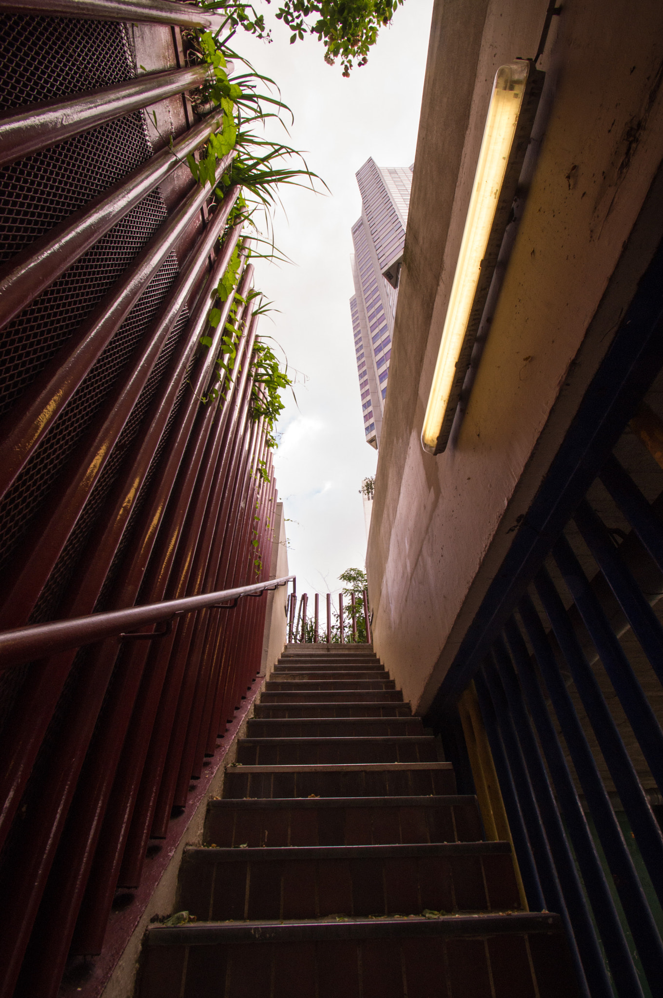Pentax K-x sample photo. Stairs photography