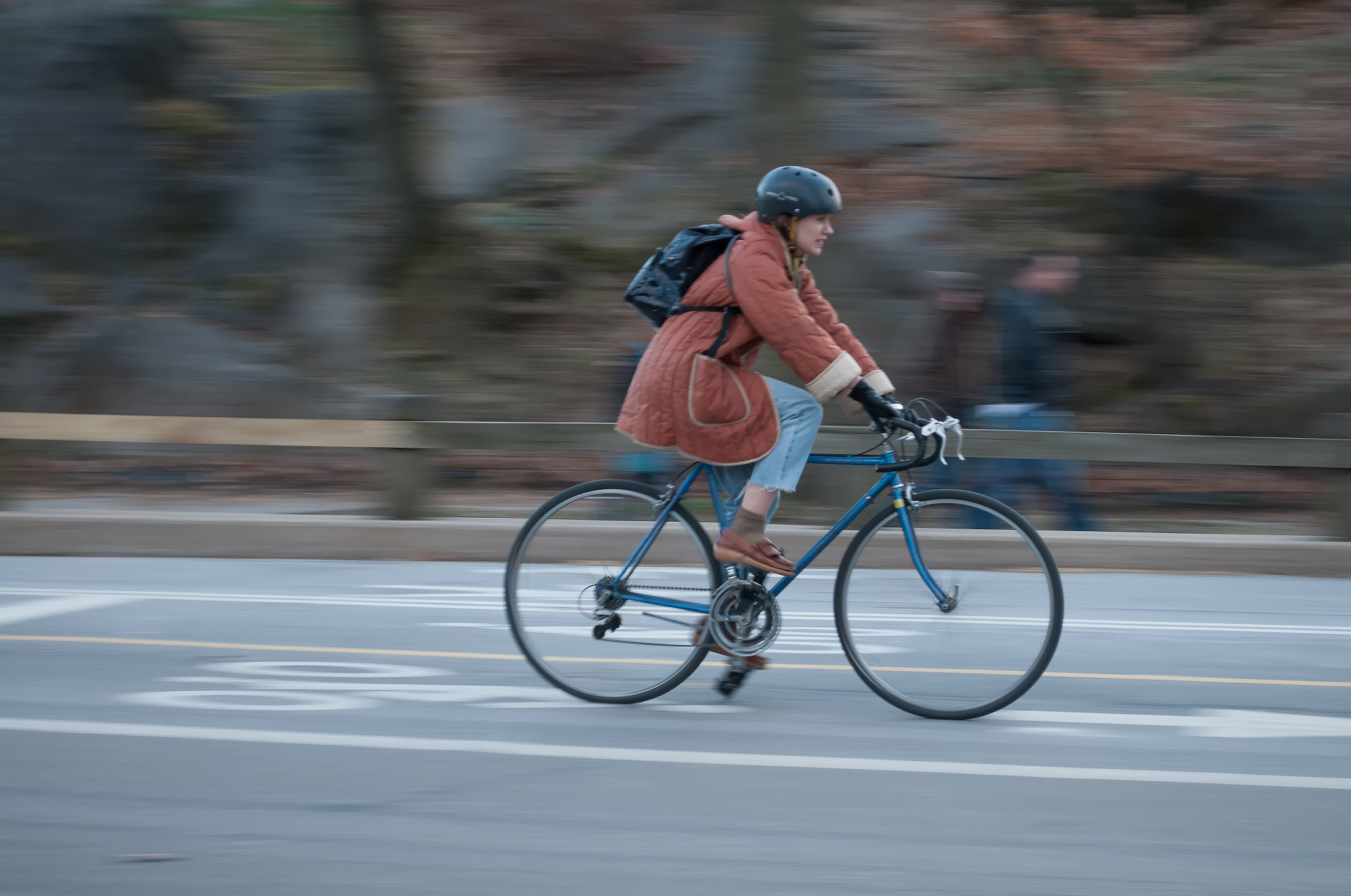 Nikon D300S sample photo. Bicycle in central park photography