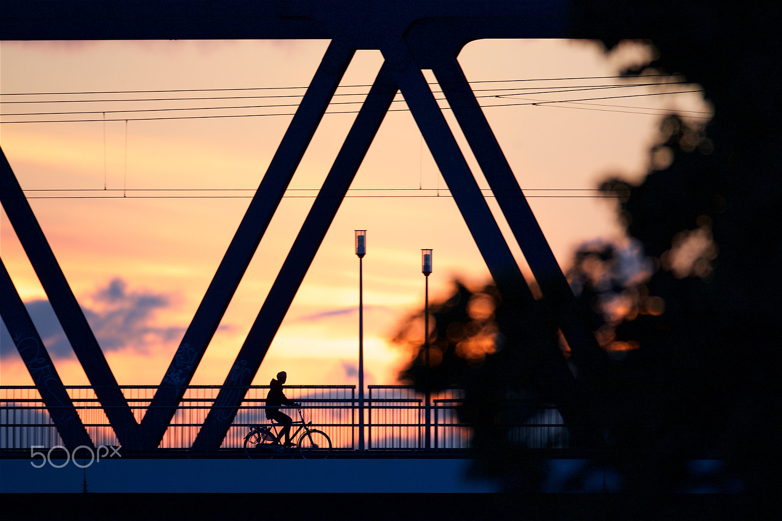 Canon EOS-1D Mark III + Canon EF 600mm f/4L IS sample photo. Bicycle on bridge in evening light photography
