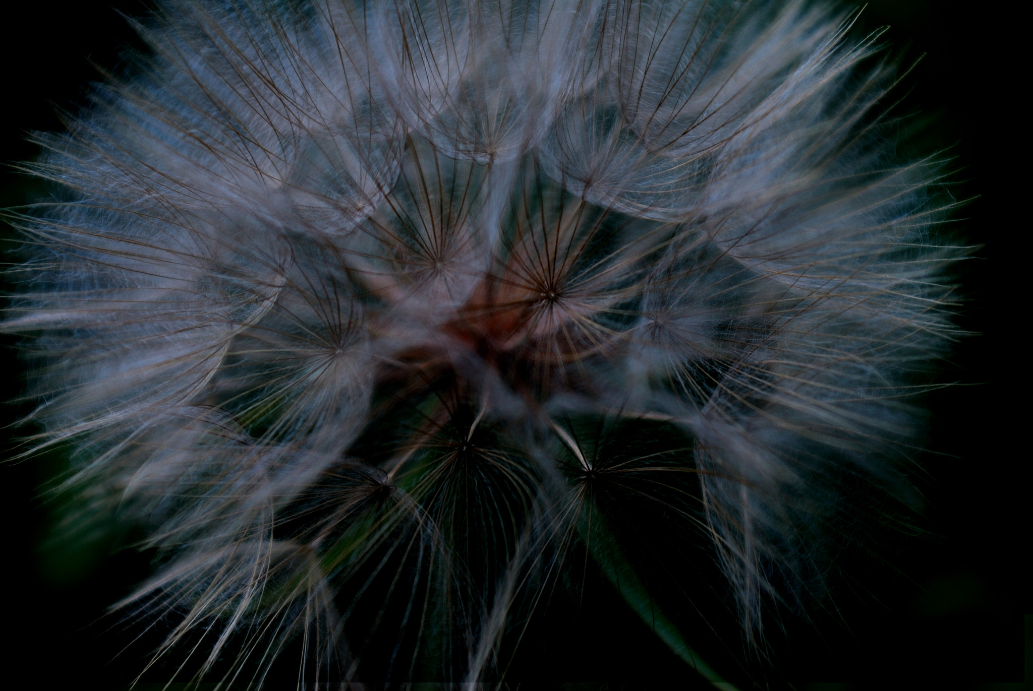 AF Zoom-Nikkor 28-85mm f/3.5-4.5 sample photo. One day with the camera photography
