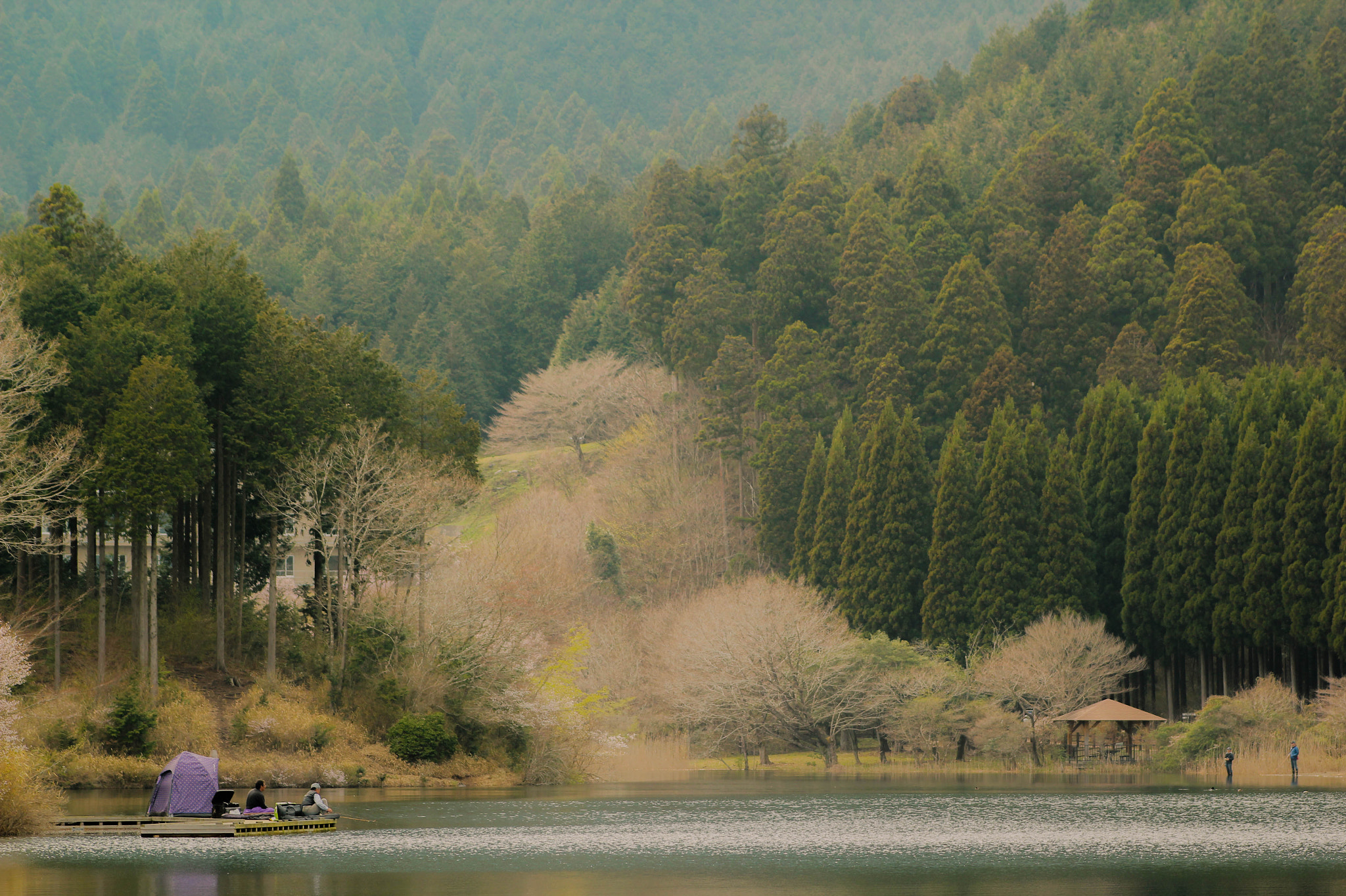 Canon EF 75-300mm f/4-5.6 USM sample photo. Joining the nature photography