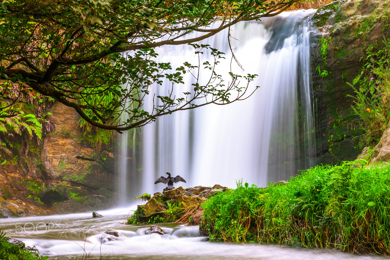 Canon EOS 5D sample photo. Oakley creek waterfall photography