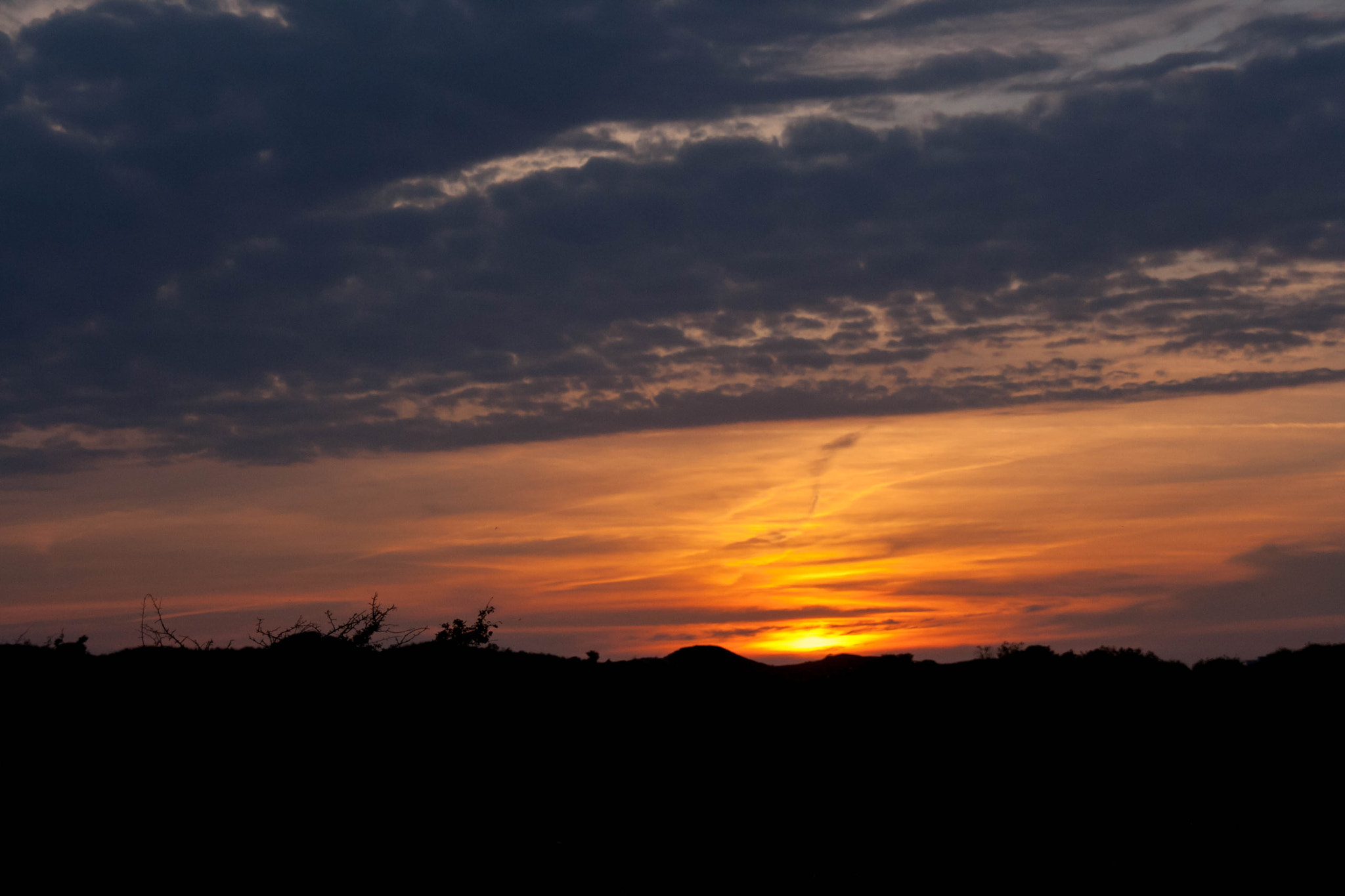 Sigma 18-200mm f/3.5-6.3 DC OS sample photo. The little prince was fond of sunsets photography