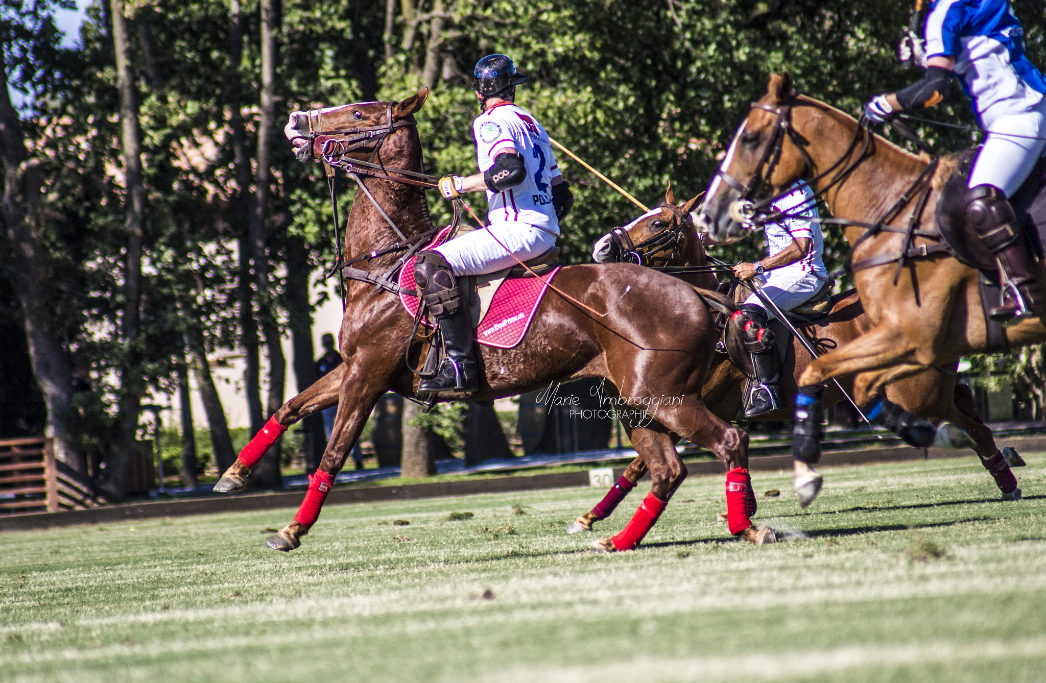 Canon EF 100-300mm F4.5-5.6 USM sample photo. Polo club st-tropez photography