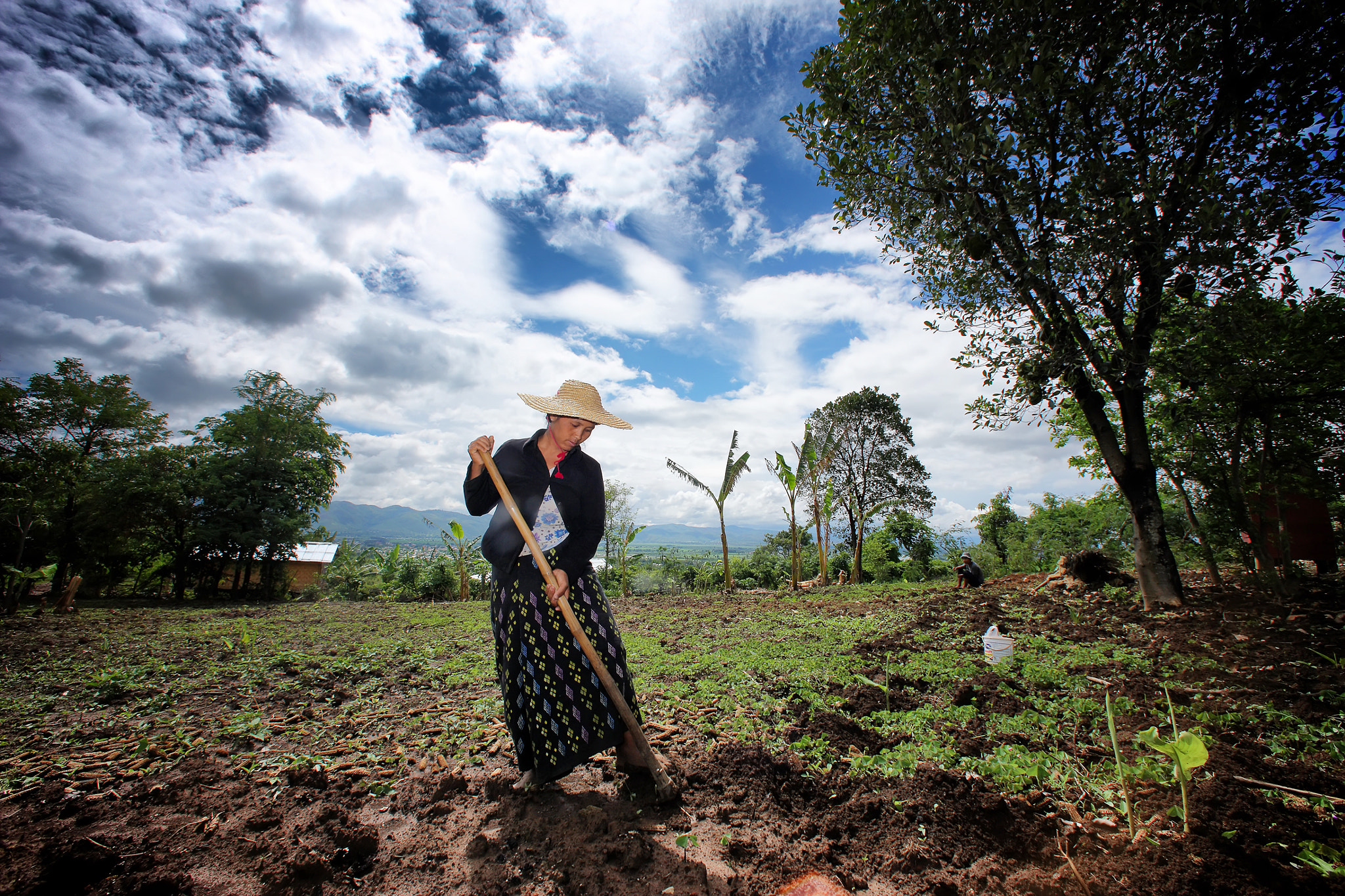 Canon EF 14mm F2.8L USM sample photo. Farmer photography