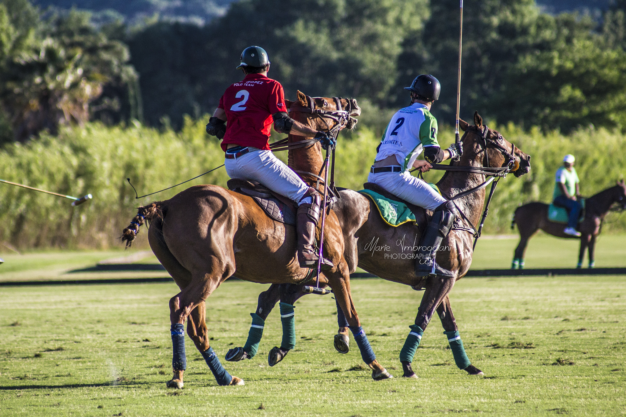 Canon EF 100-300mm F4.5-5.6 USM sample photo. Polo club st-tropez photography