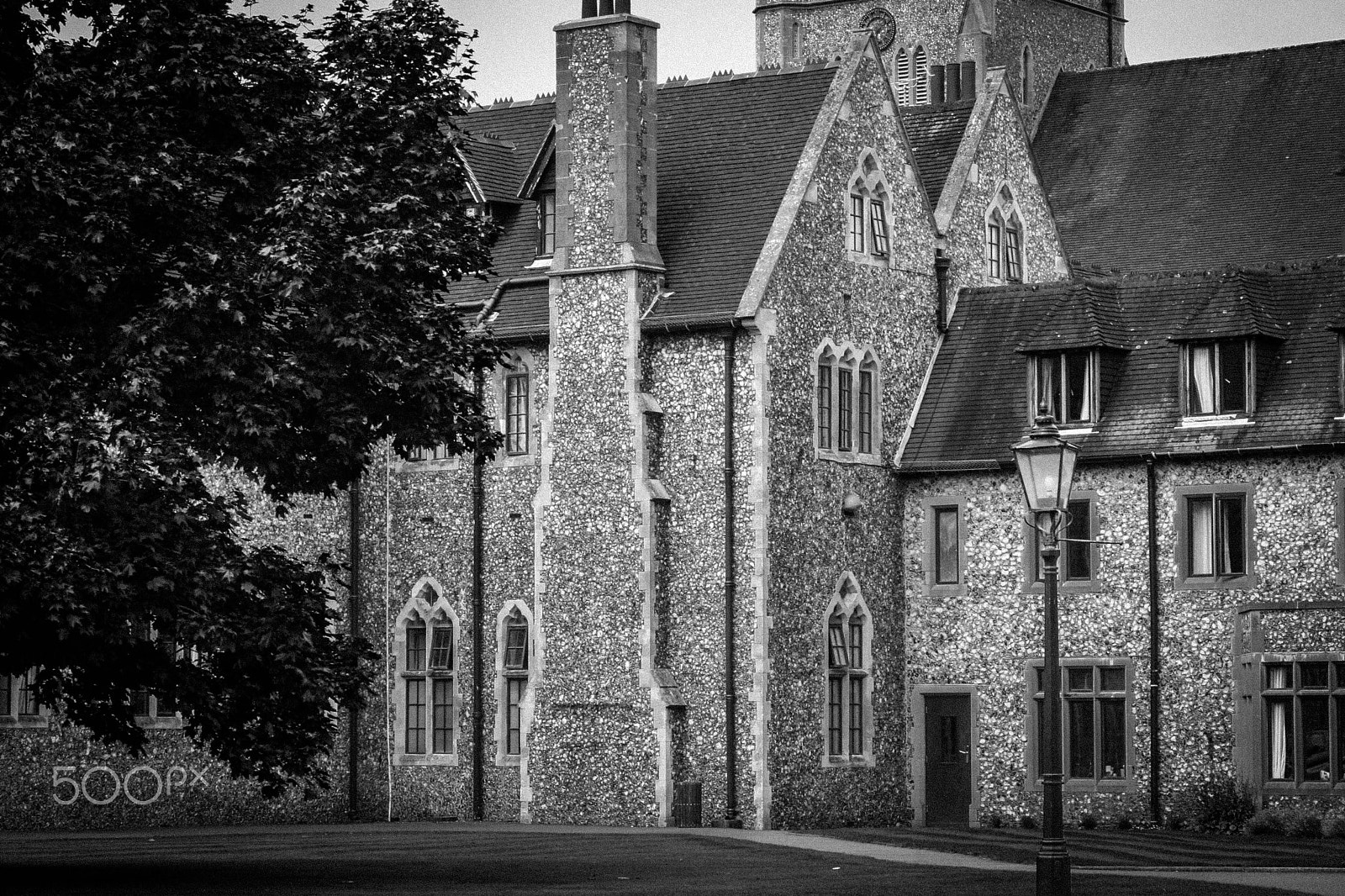 Canon EF-S 60mm F2.8 Macro USM sample photo. Hurstpierpoint college photography