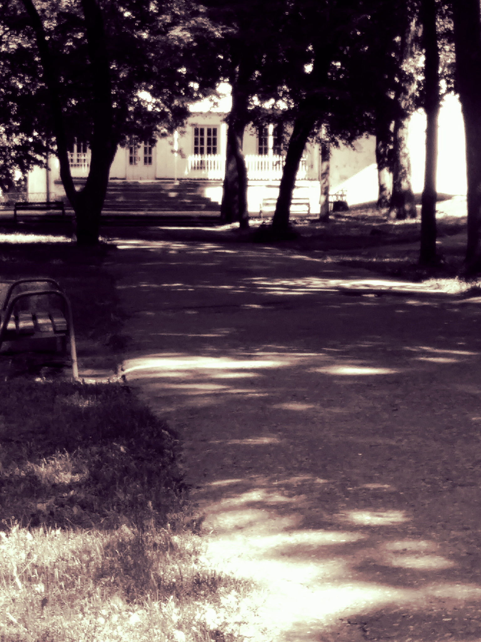 HUAWEI G620S-L01 sample photo. In the park photography