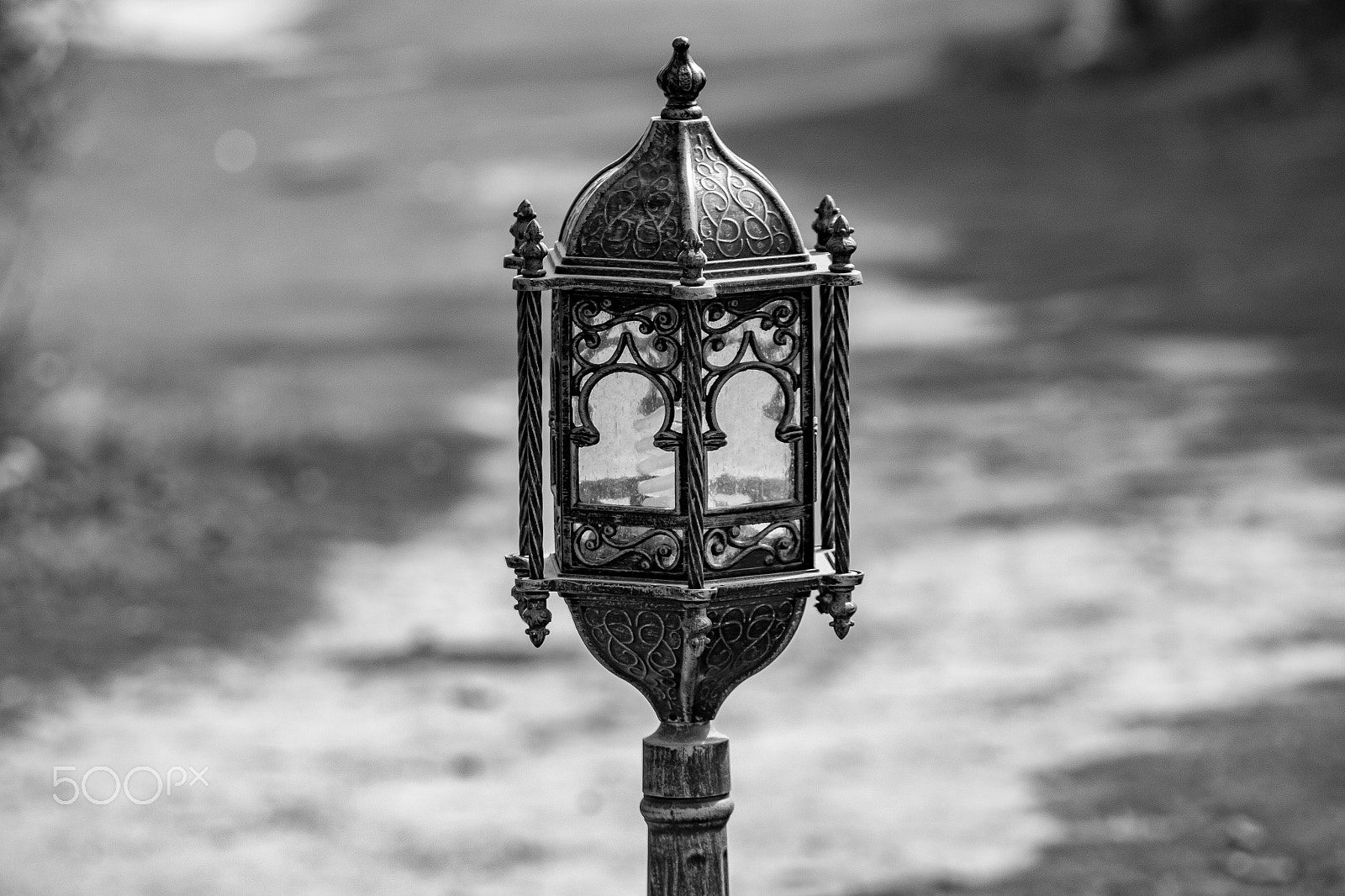 EF75-300mm f/4-5.6 sample photo. Ankur tripathi photography photography