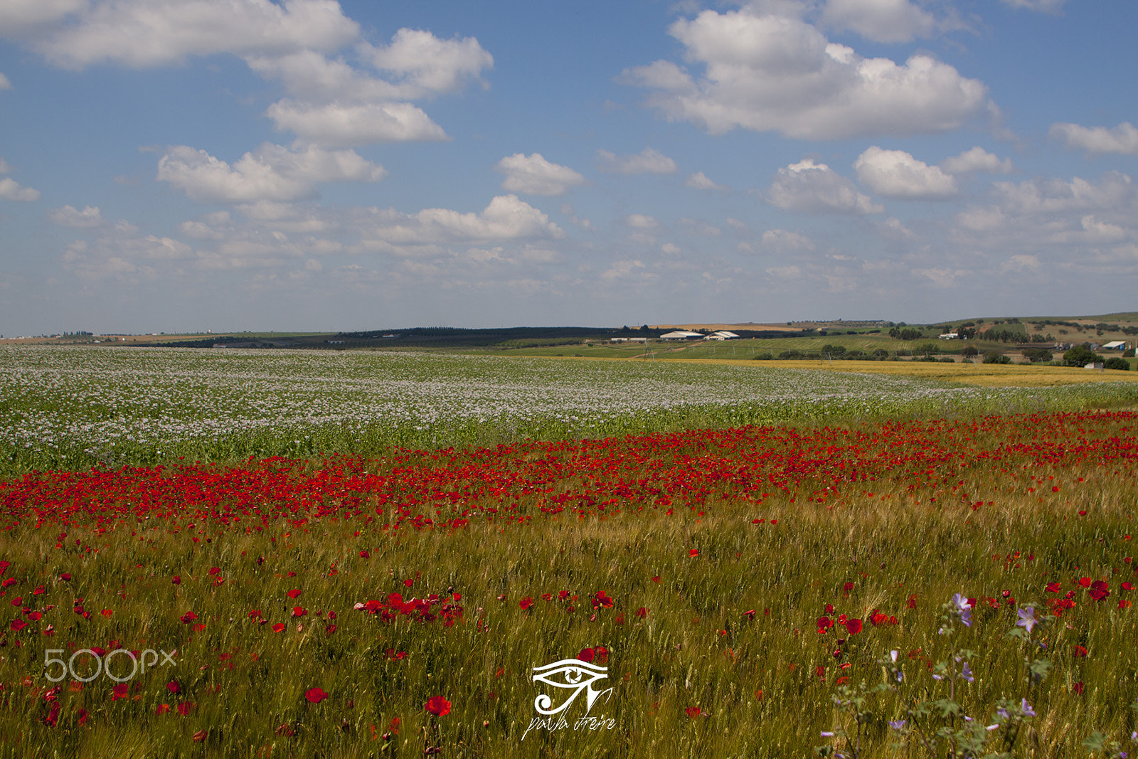 Canon EF 28-105mm f/3.5-4.5 USM sample photo. Alentejo photography