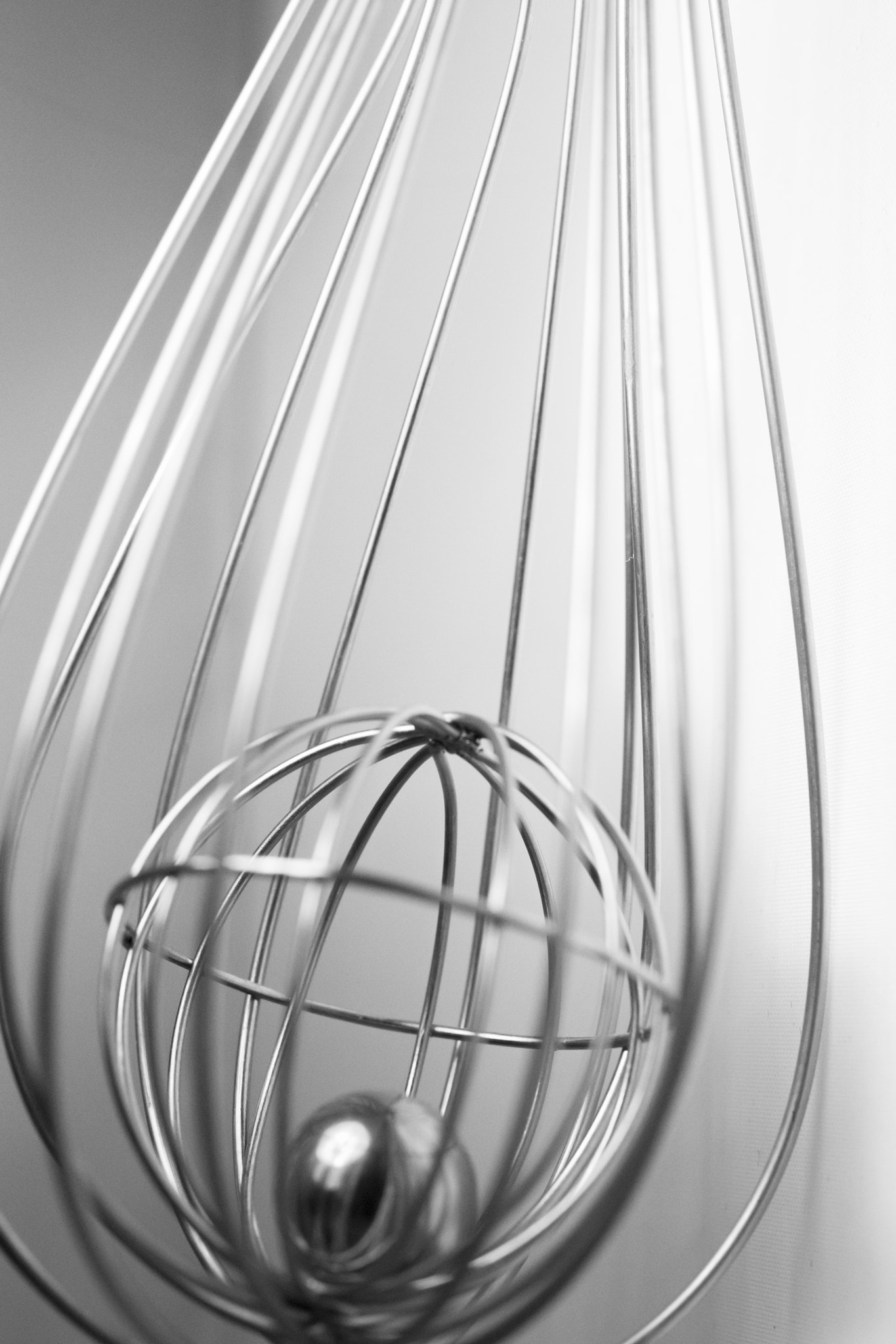 Canon EOS 6D + Canon EF 50mm F2.5 Macro sample photo. Whisk photography