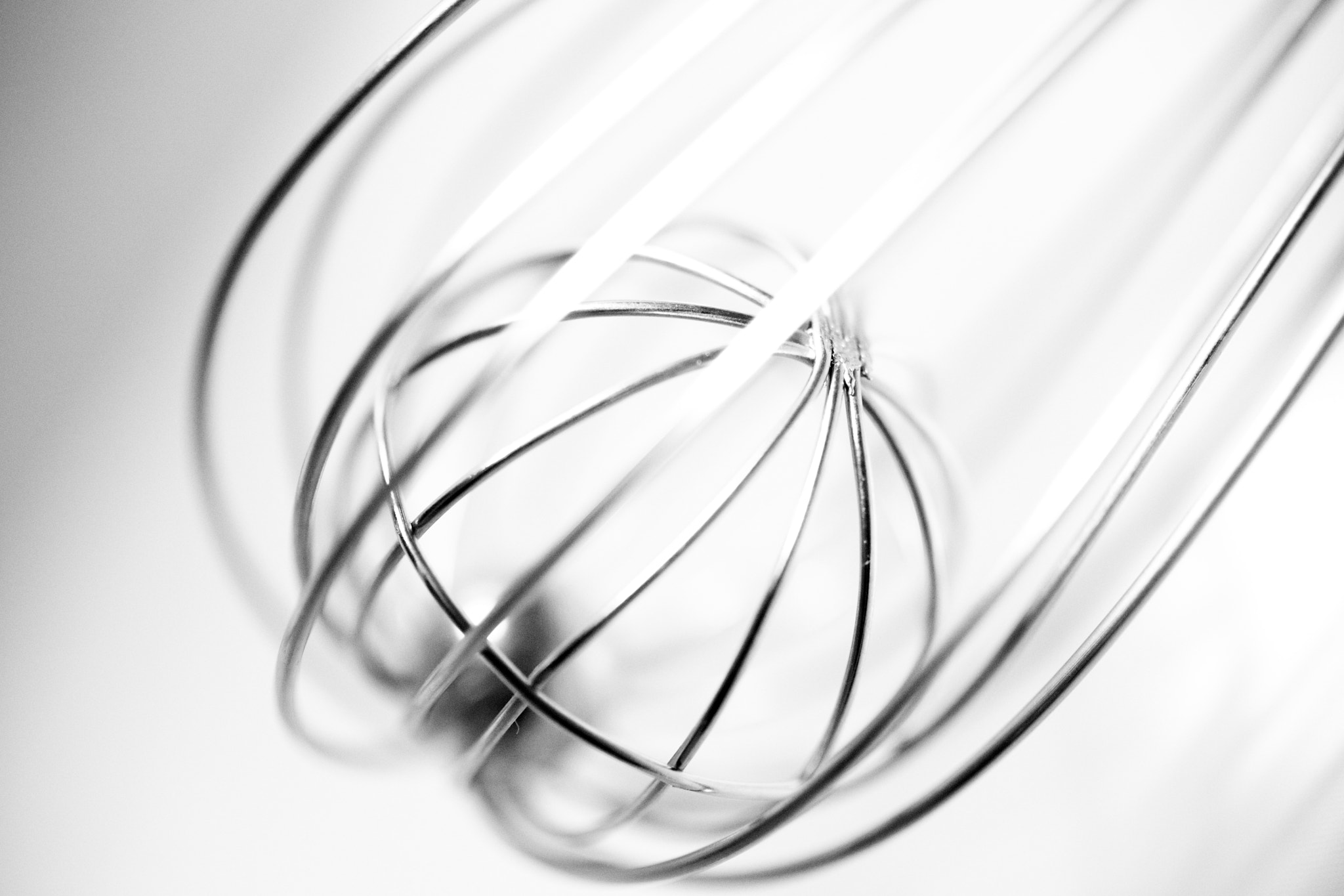 Canon EOS 6D + Canon EF 50mm F2.5 Macro sample photo. Whisk photography