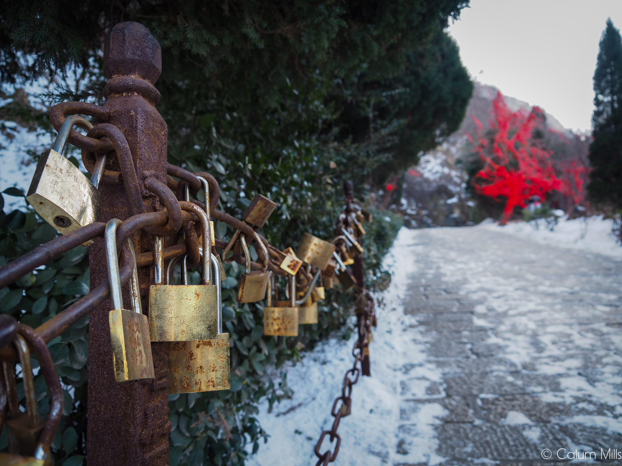 Olympus OM-D E-M5 II sample photo. Locks and chains photography