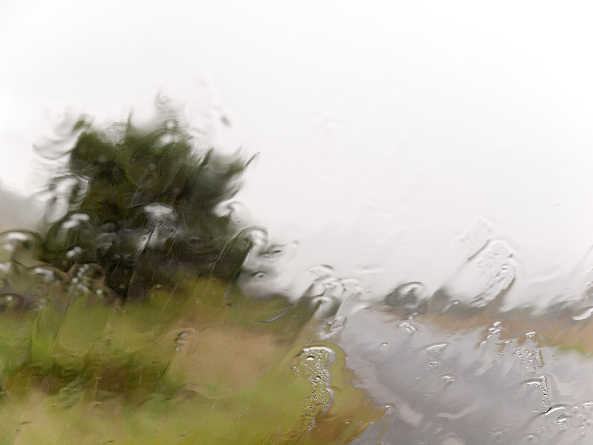 Olympus Zuiko Digital 14-54mm F2.8-3.5 II sample photo. Downpour in wales photography