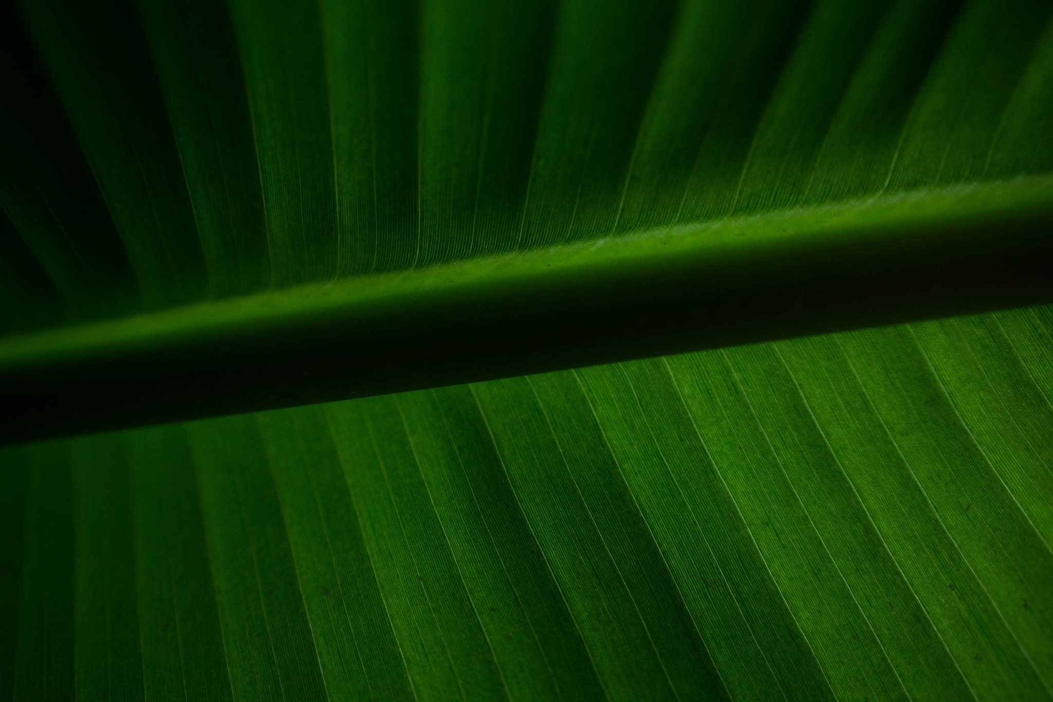 Sigma 20mm EX f/1.8 sample photo