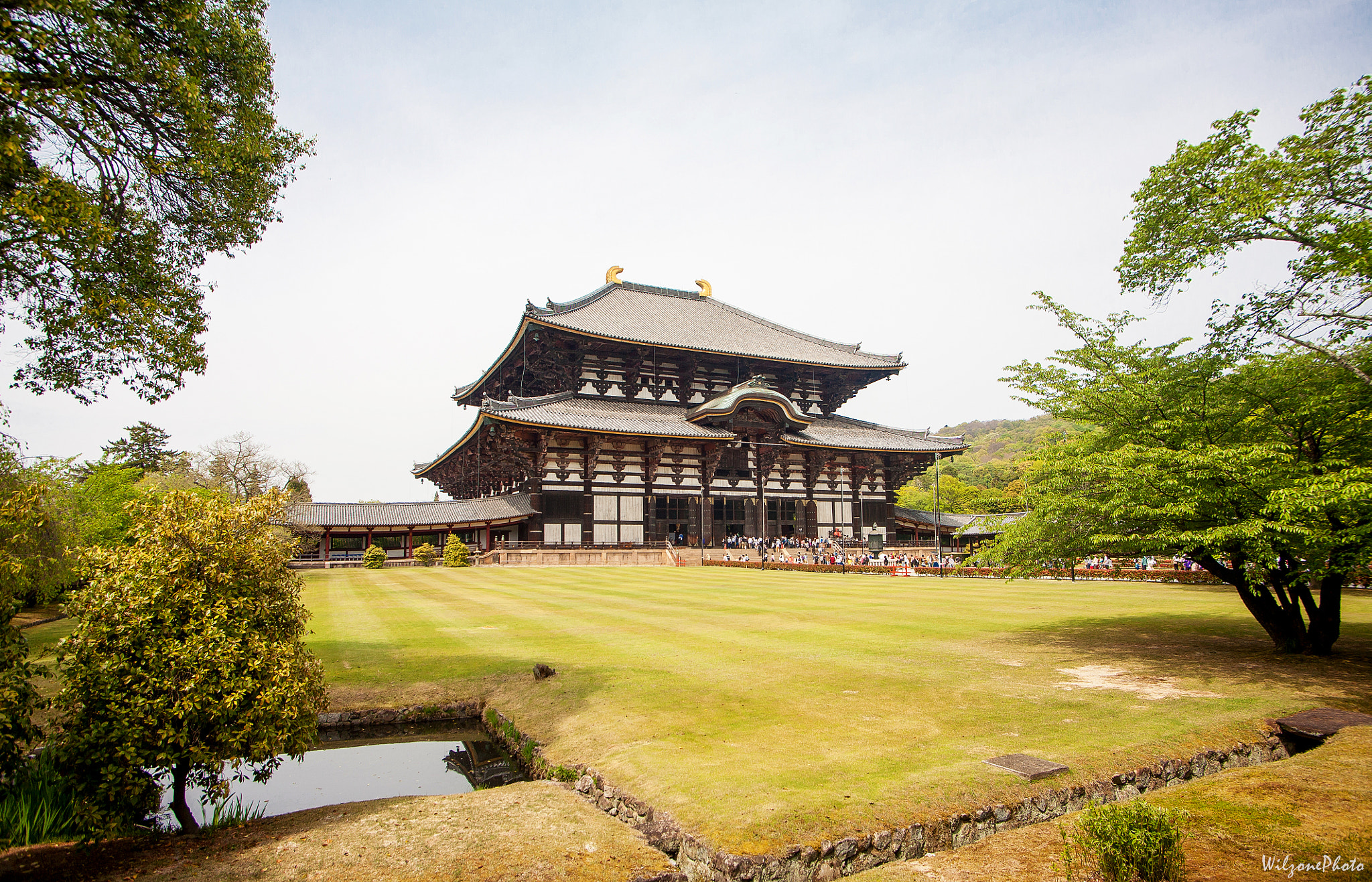 Canon EOS 5D + Tamron AF 19-35mm f/3.5-4.5 sample photo. Nara 165 photography