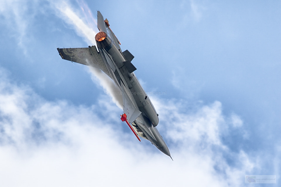 Canon EF 200mm F2.8L II USM sample photo. Danish viper photography