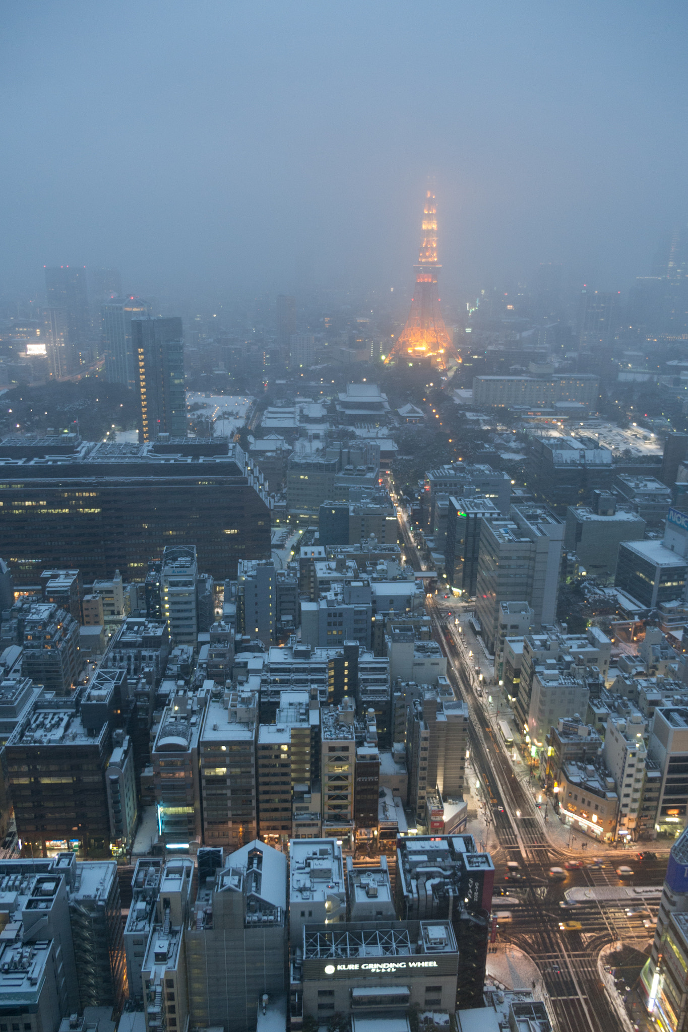 Panasonic Lumix G X Vario 12-35mm F2.8 ASPH Power OIS sample photo. Tokyo tower in winter photography