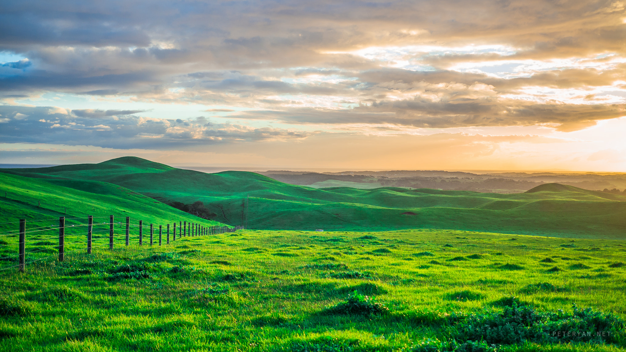 Olympus OM-D E-M10 + Olympus M.Zuiko Digital 25mm F1.8 sample photo. On my way to cape schanck, i looked out the window ... photography