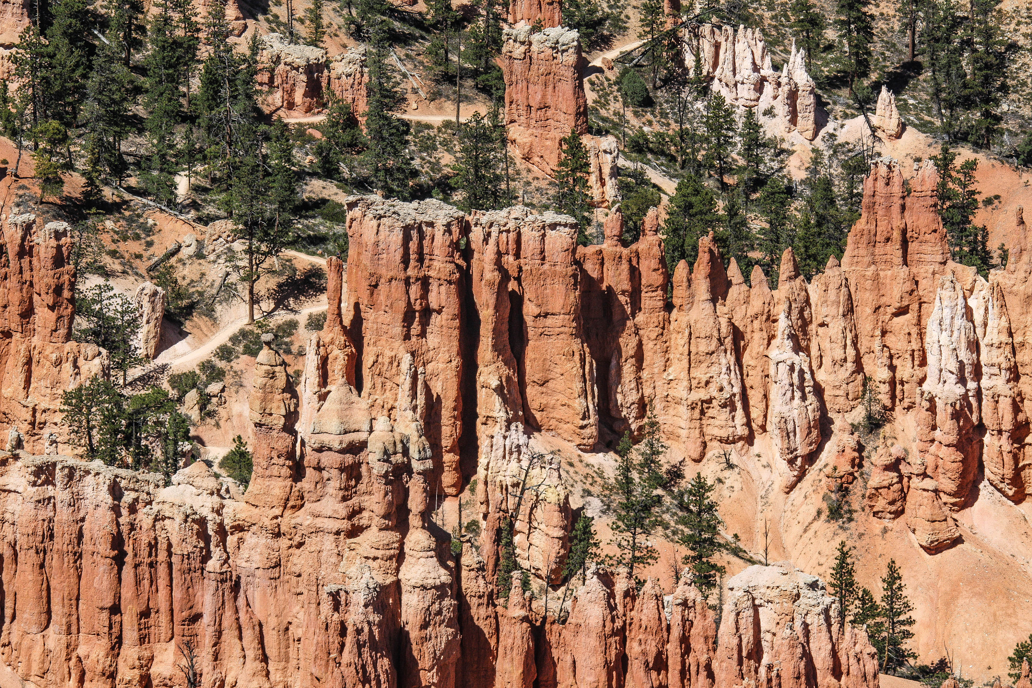Sigma 150-500mm F5-6.3 DG OS HSM sample photo. Trail through the hoodoos photography