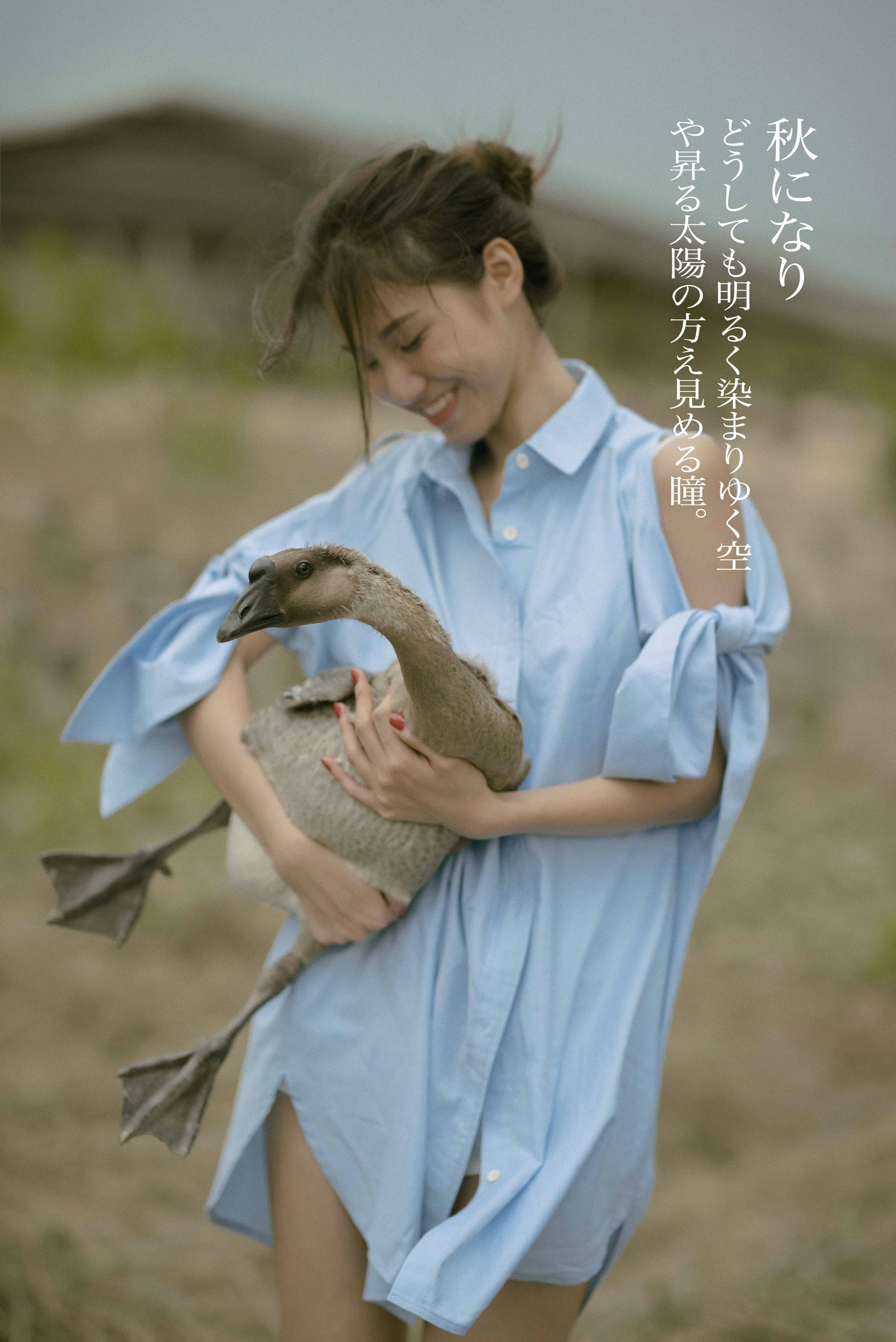 FE 85mm F0 sample photo. Harvest photography