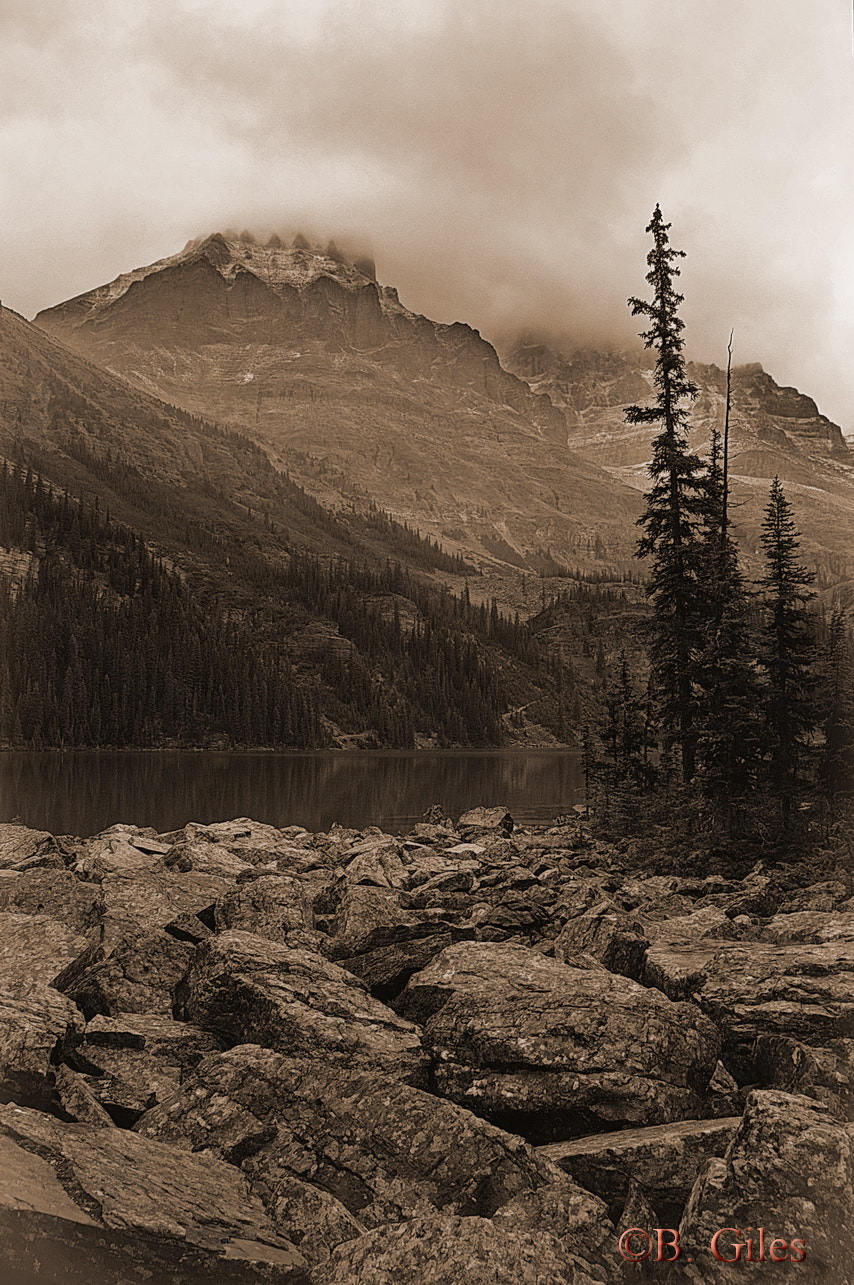 Pentax K-7 sample photo. Image from a time past photography