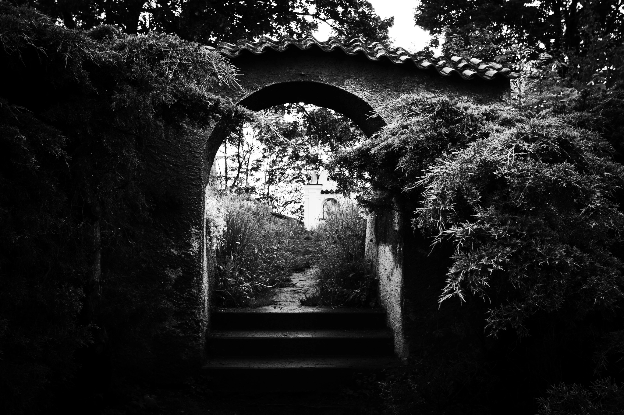 Canon EF-S 10-22mm F3.5-4.5 USM sample photo. Entry to the secret garden photography