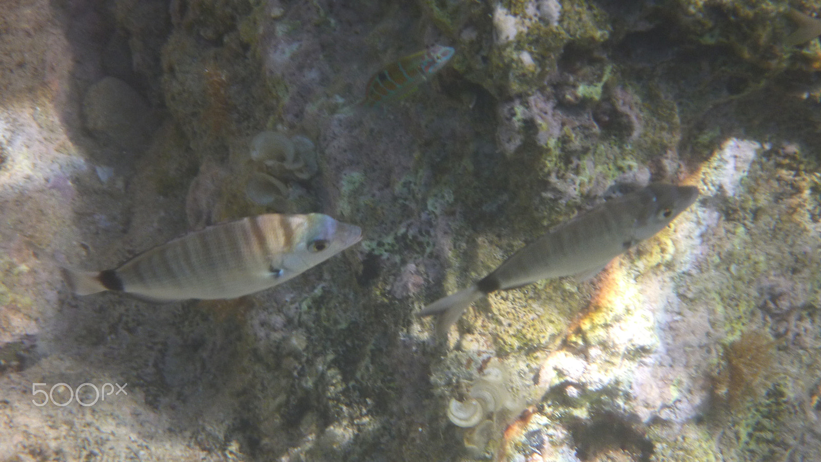 Panasonic DMC-FT2 sample photo. 27869616185.jpg photography