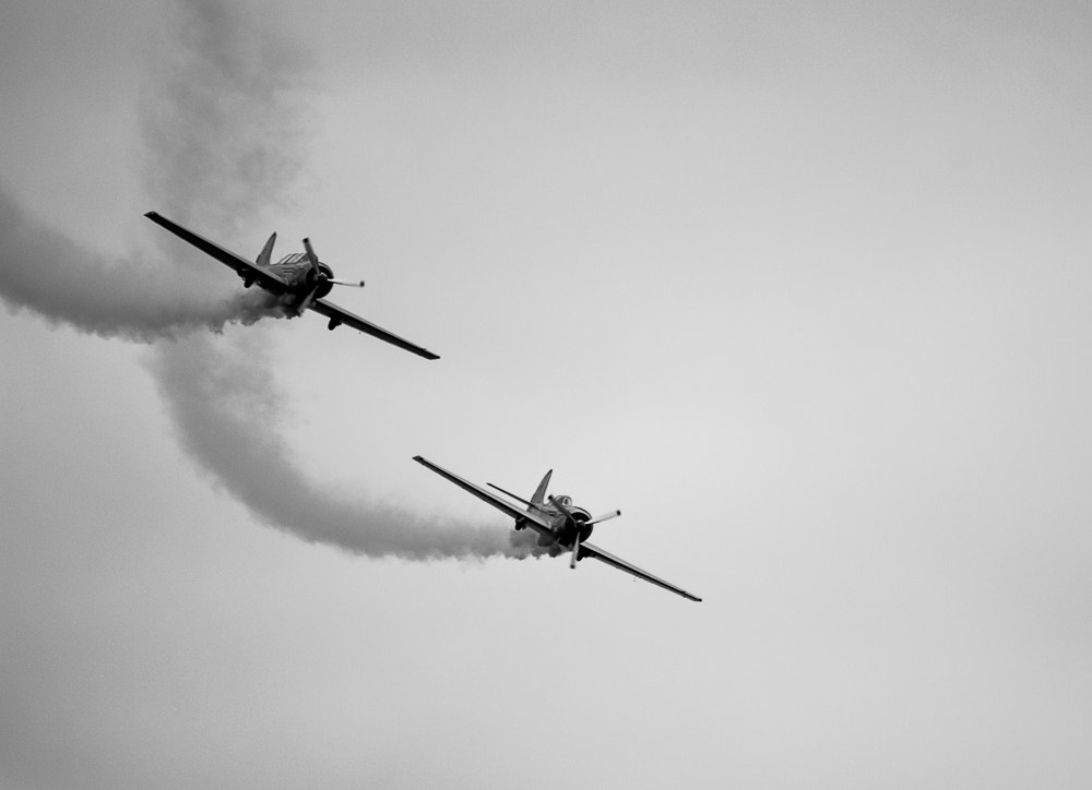 Sigma 150-500mm F5-6.3 DG OS HSM sample photo. Dogfight photography