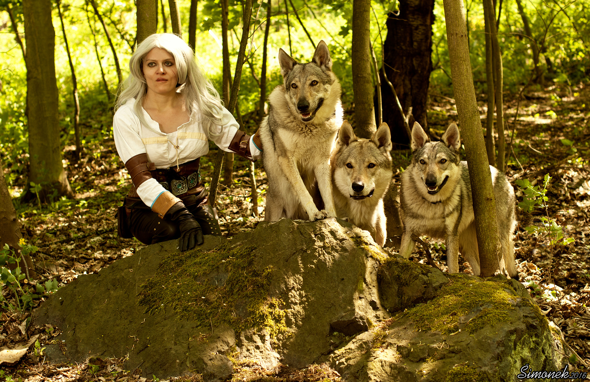Nikon D300 + Nikon AF-S Nikkor 50mm F1.4G sample photo. Ciri with wolfs photography