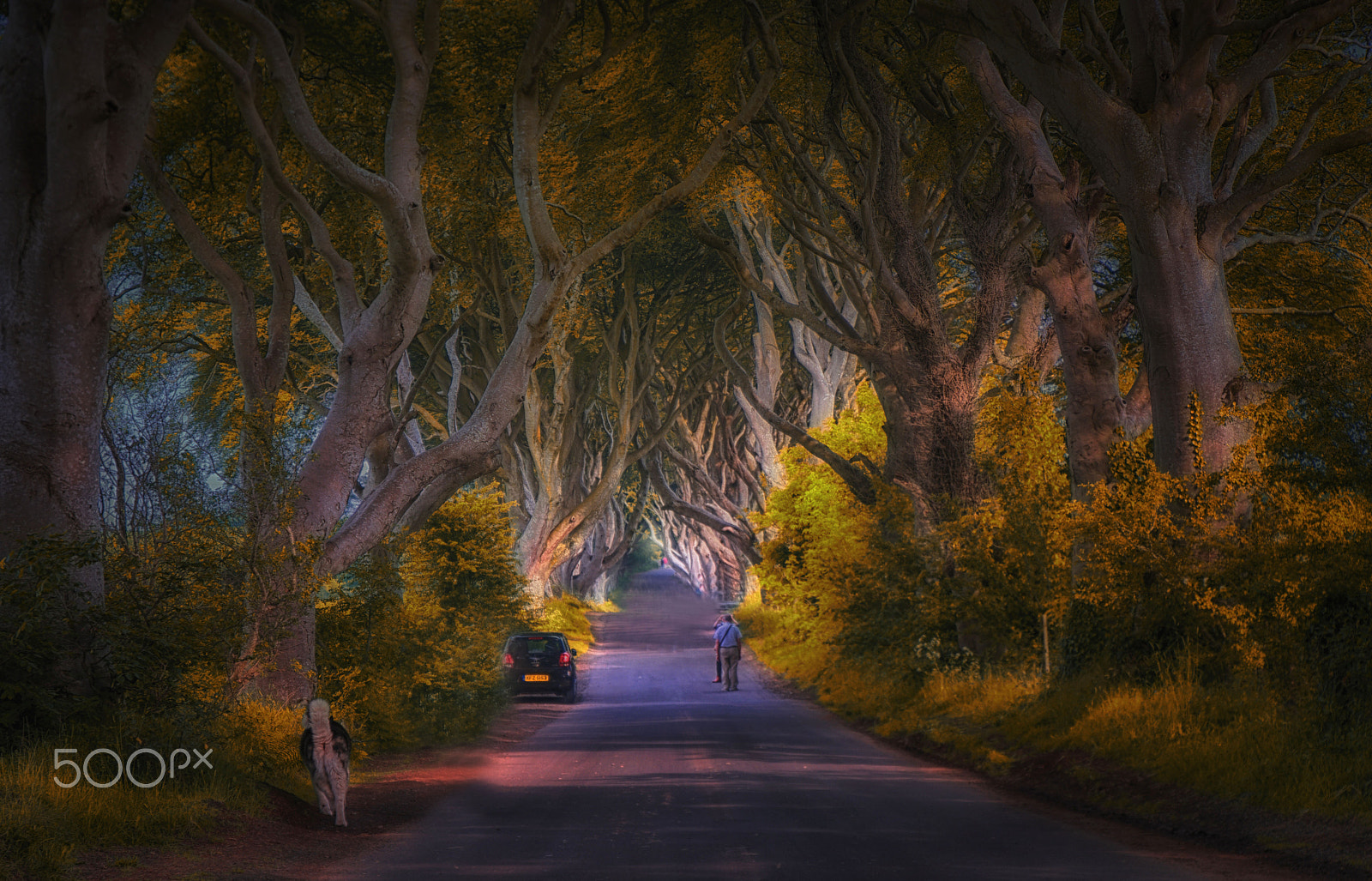 Saumsun NX 16-50mm F2-2.8 S ED OIS sample photo. A fairytale came true photography