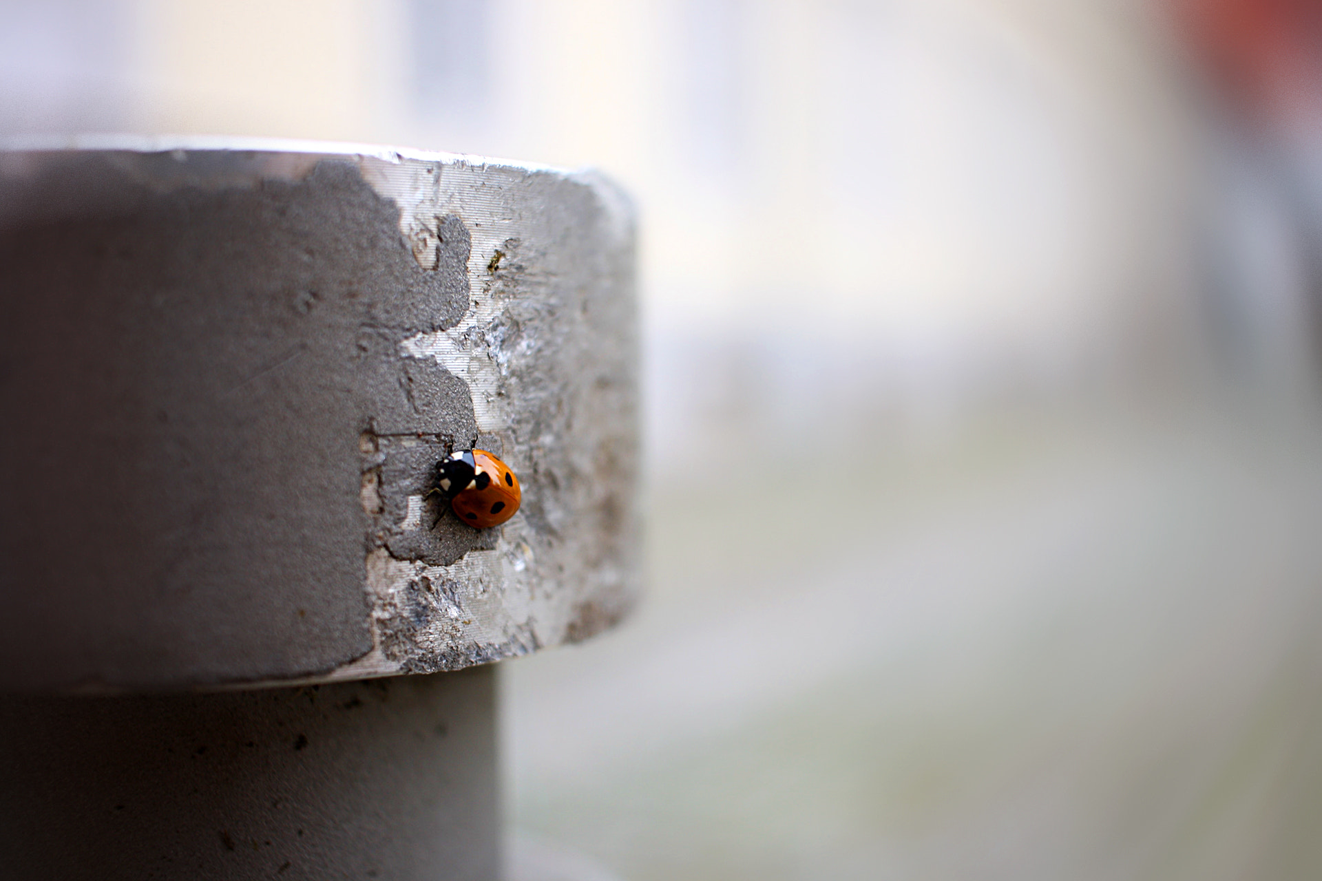 Canon EF-S 24mm F2.8 STM sample photo. Dot photography