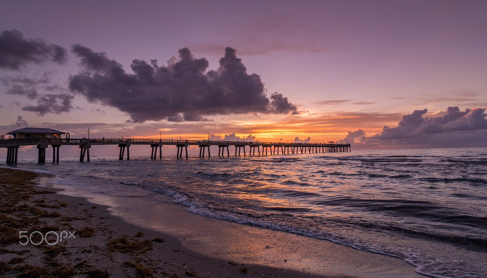 Tokina AT-X Pro 12-24mm F4 (IF) DX sample photo. Dania beach pier photography