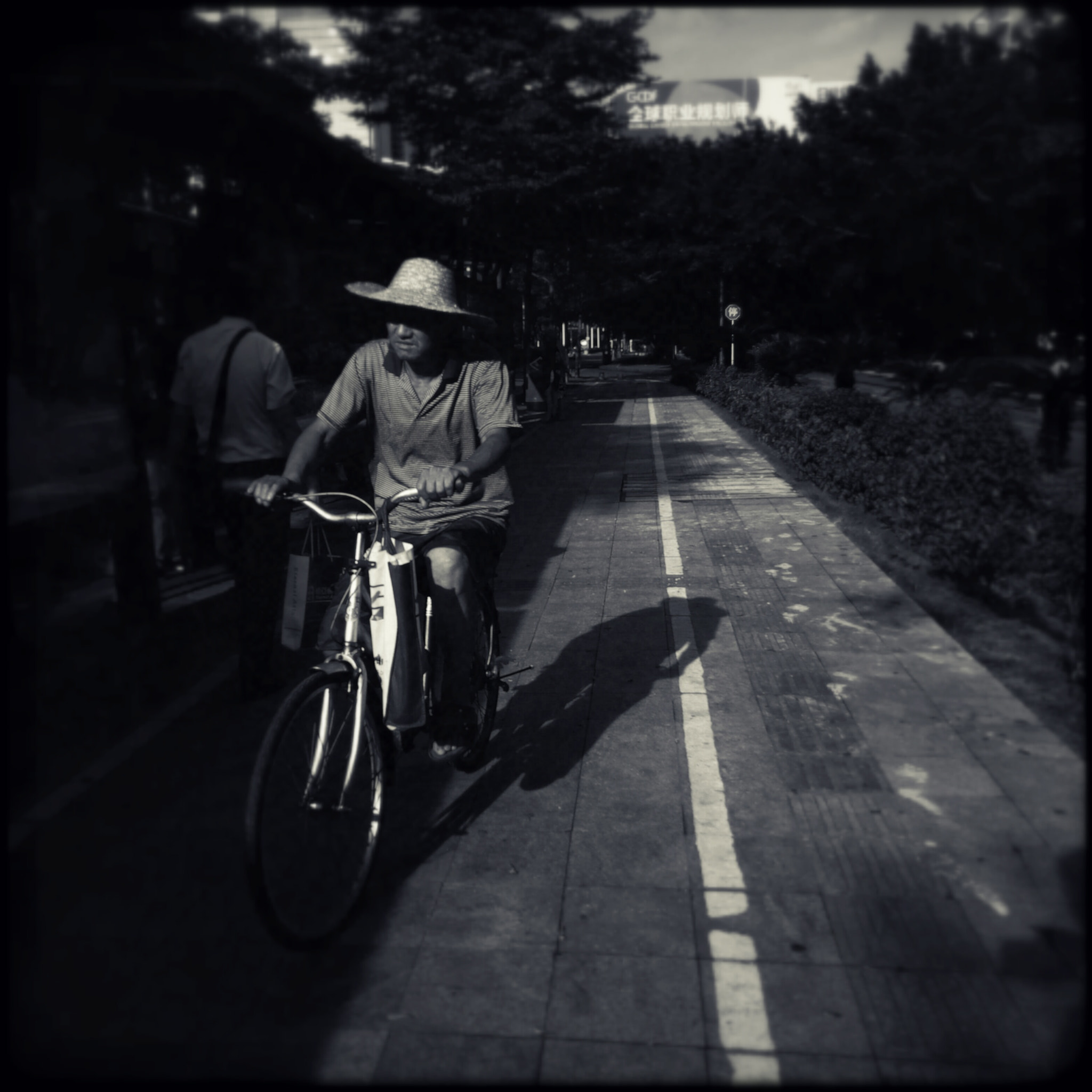 OPPO R7s sample photo.   photography