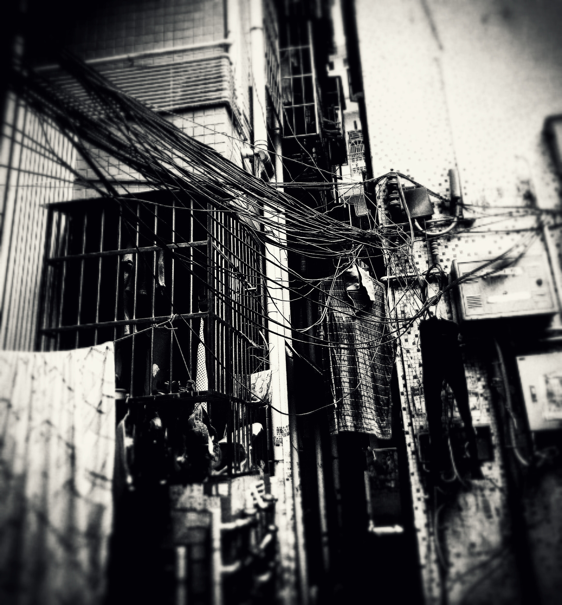 OPPO R7s sample photo.   photography