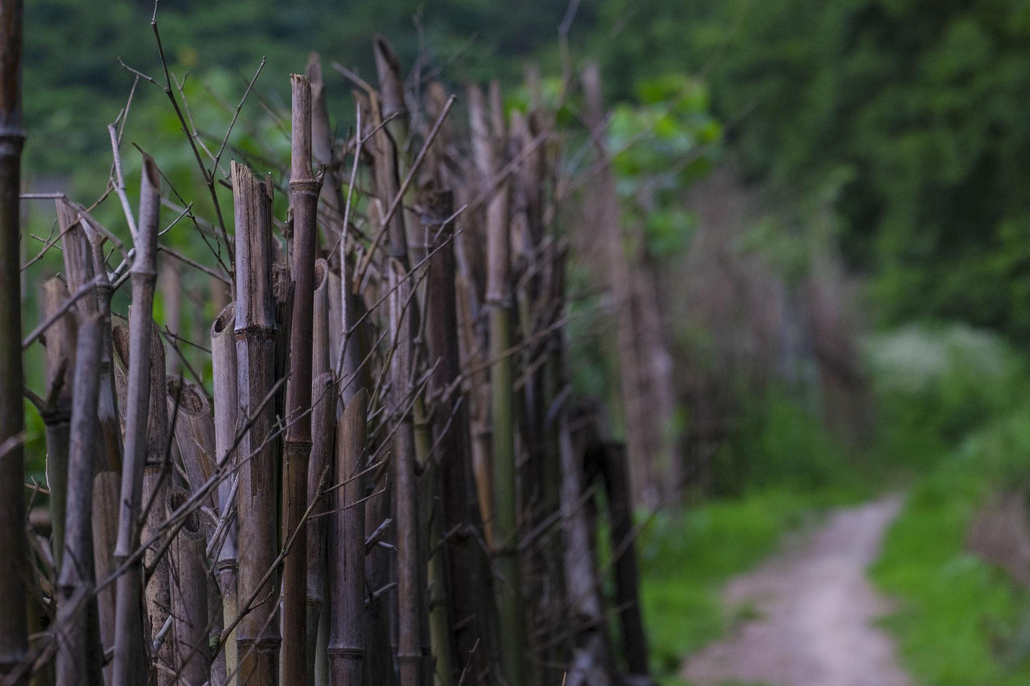 Fujifilm X-E2 + Fujifilm XC 50-230mm F4.5-6.7 OIS II sample photo. 栅栏 photography