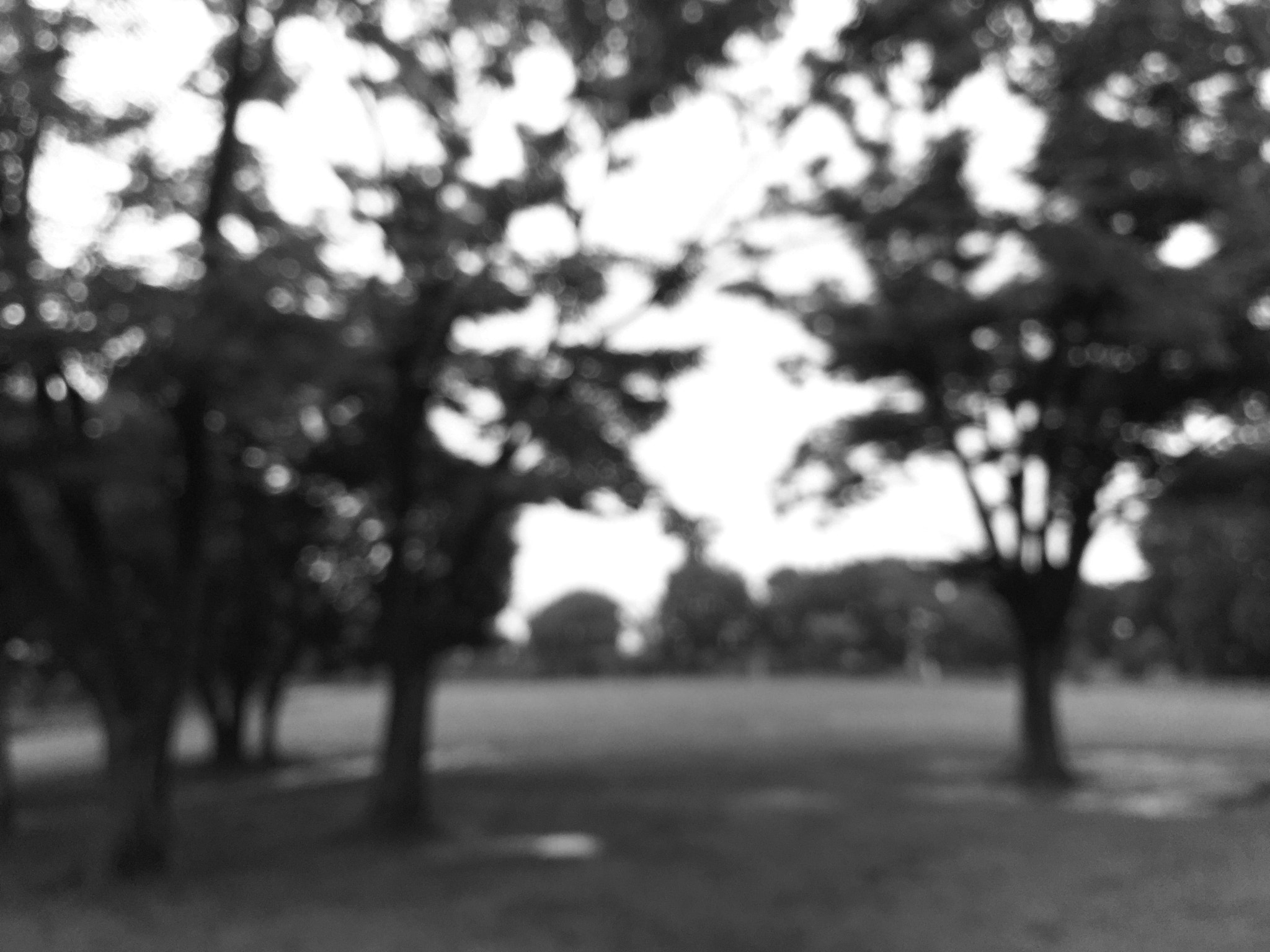 Apple iPhone7,1 sample photo. Rainy sound fields photography