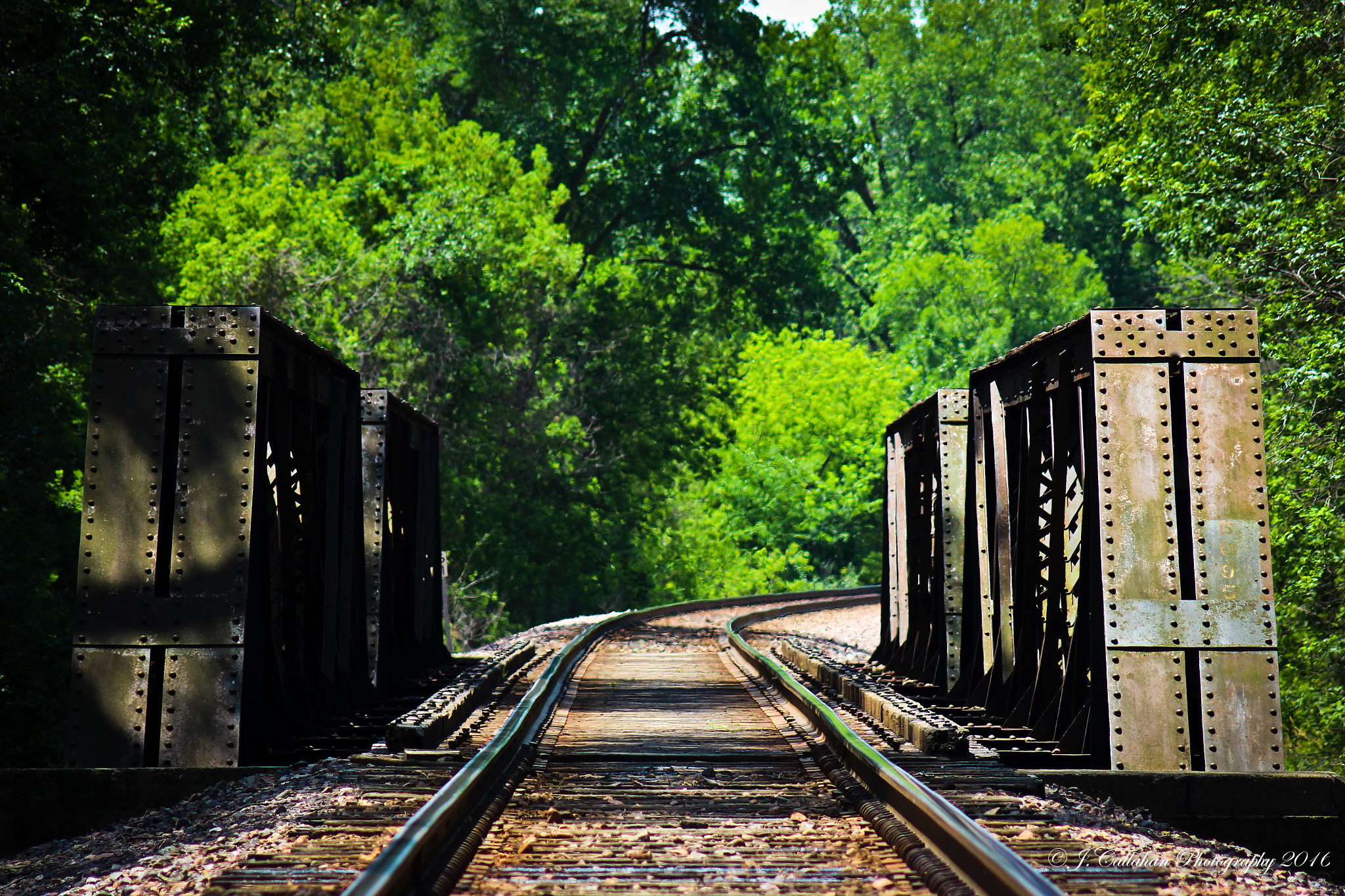 Canon EF 80-200mm F4.5-5.6 II sample photo. Hot on the tracks photography