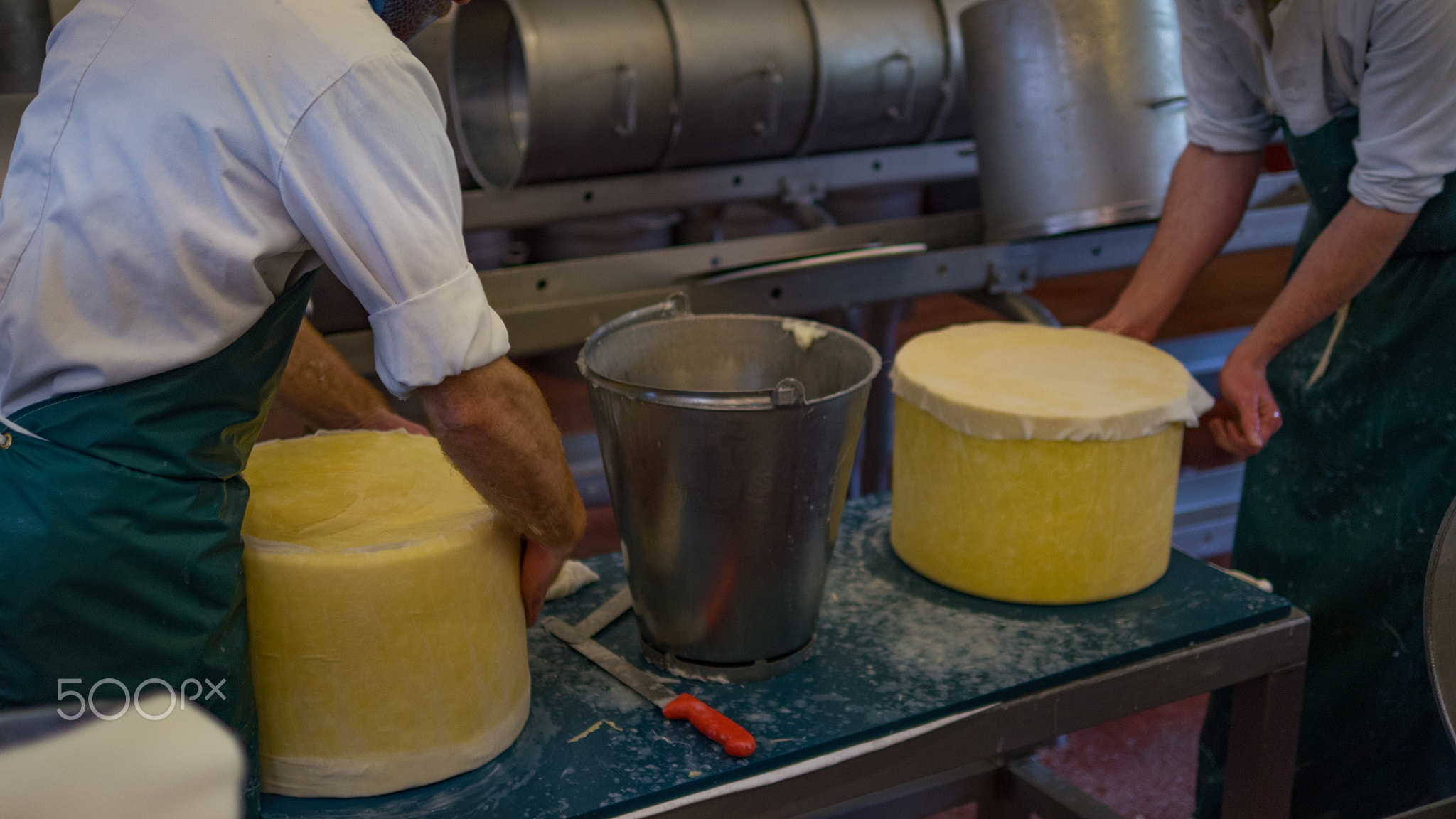 Two cheese makers cleaning cheese