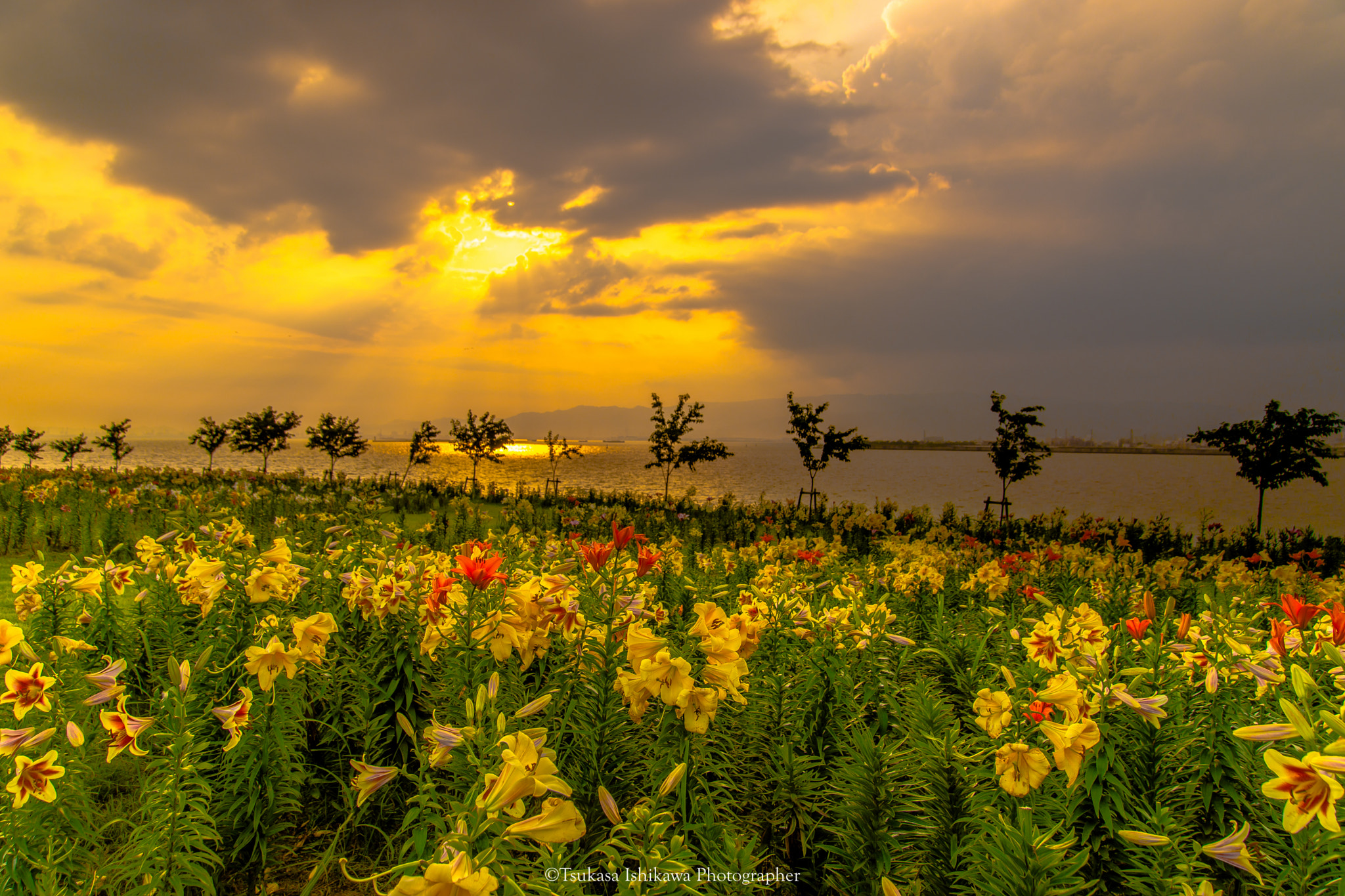 Sony a99 II + 24-105mm F4 sample photo. Hill of the lily the sunset puts in photography