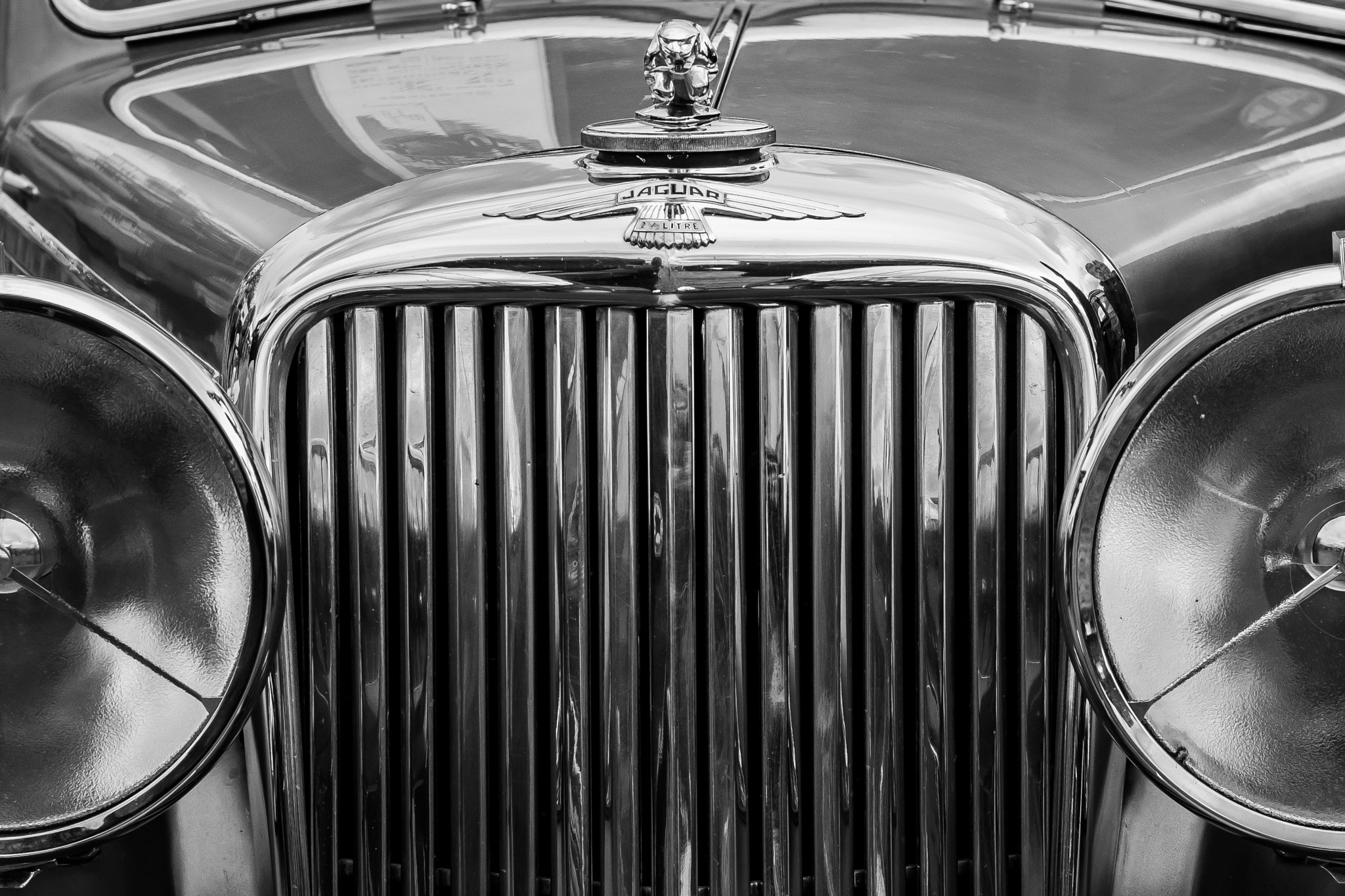 Nikon D7200 + Nikon AF Nikkor 50mm F1.4D sample photo. Classic jaguar photography