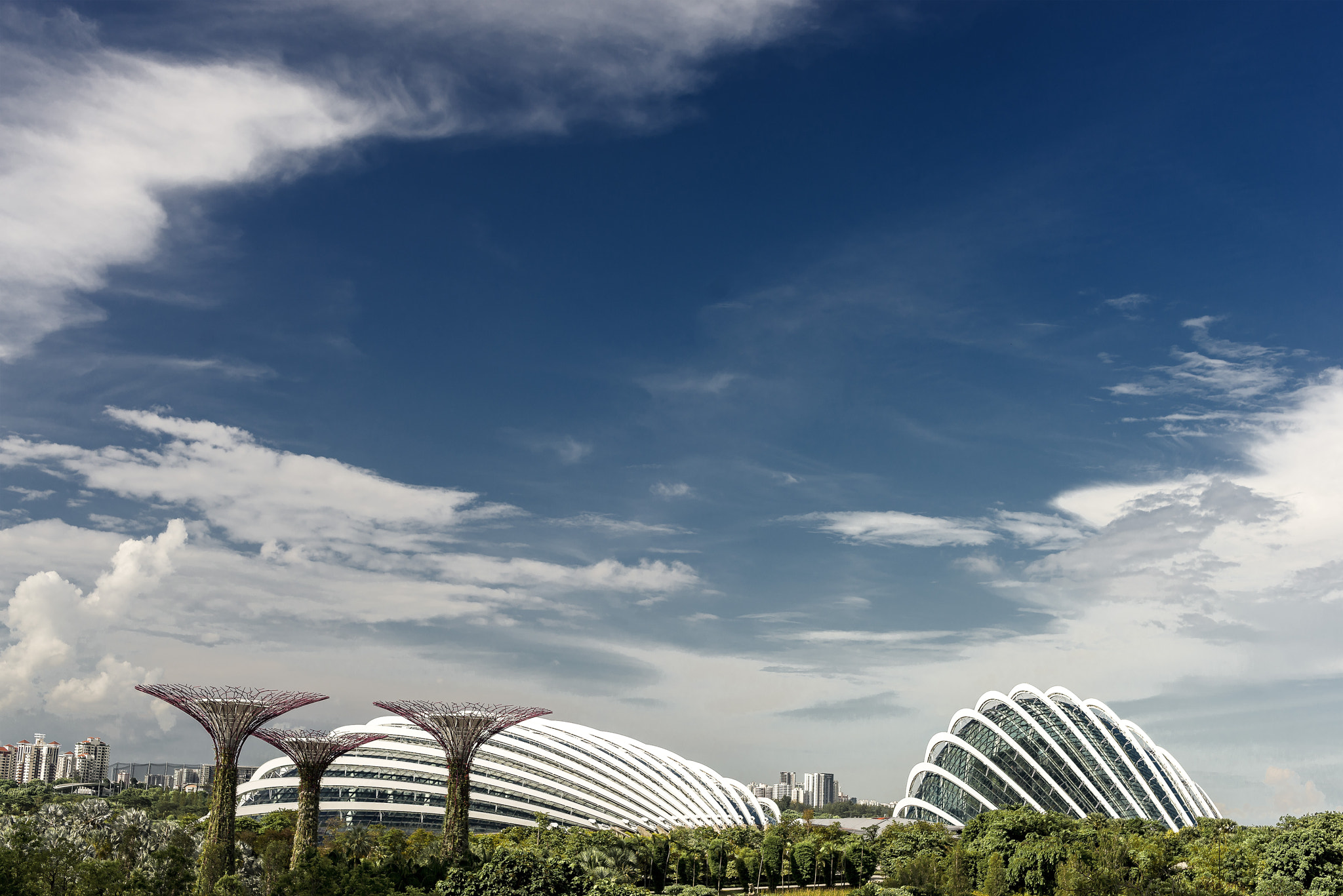 Nikon D610 + Sigma 50mm F1.4 EX DG HSM sample photo. Singapore landscape flower dome photography