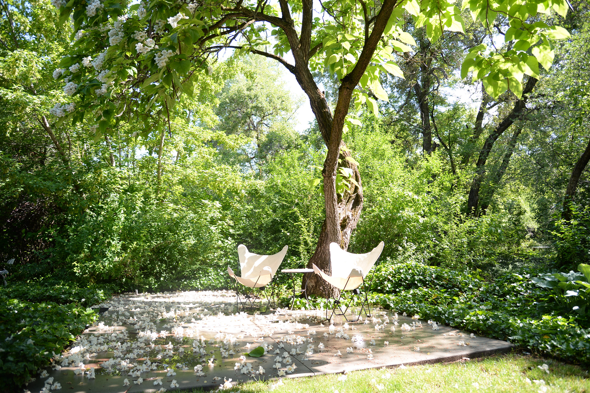 Nikon Df sample photo